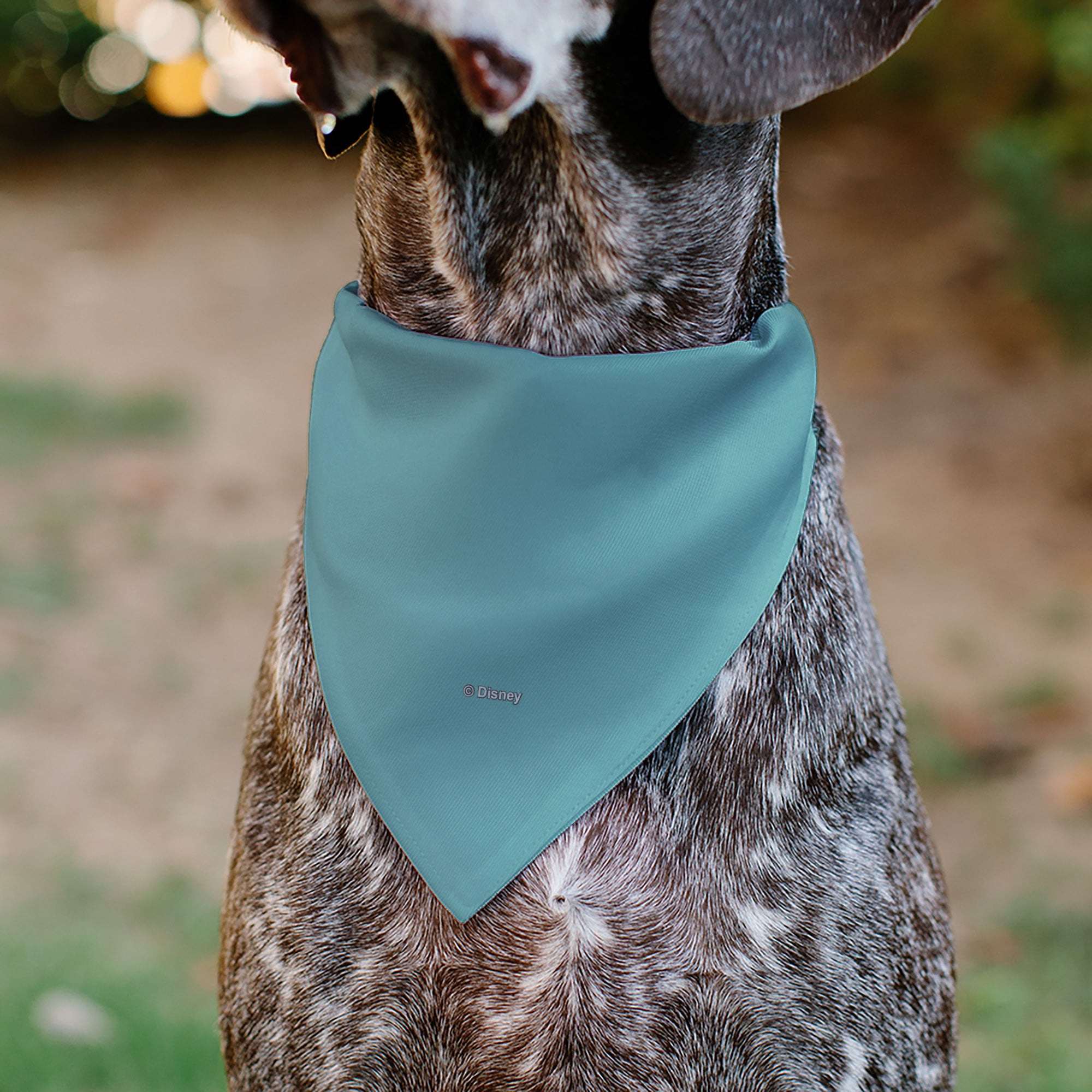 Pet Bandana - Snow White SWEET NATURED Pose Blue Pet Bandanas Disney