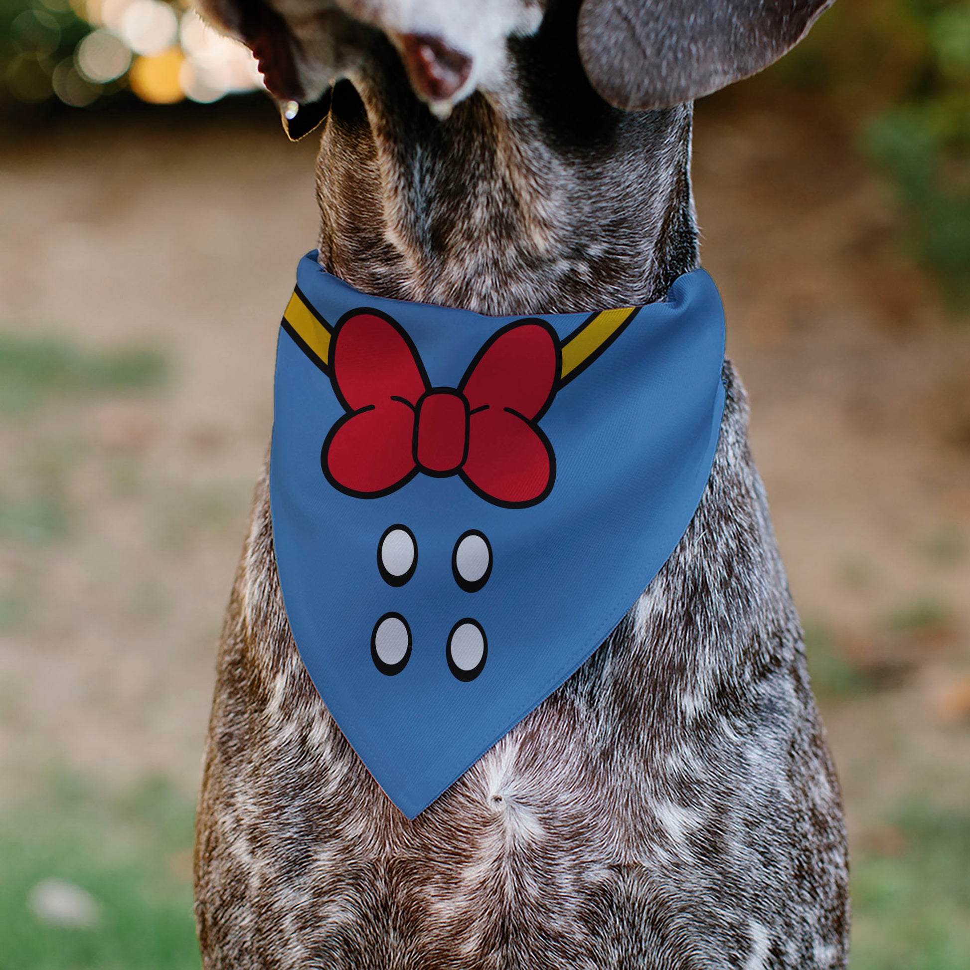 Pet Bandana - Donald Duck Sailor Suit Chest Pet Bandanas Disney