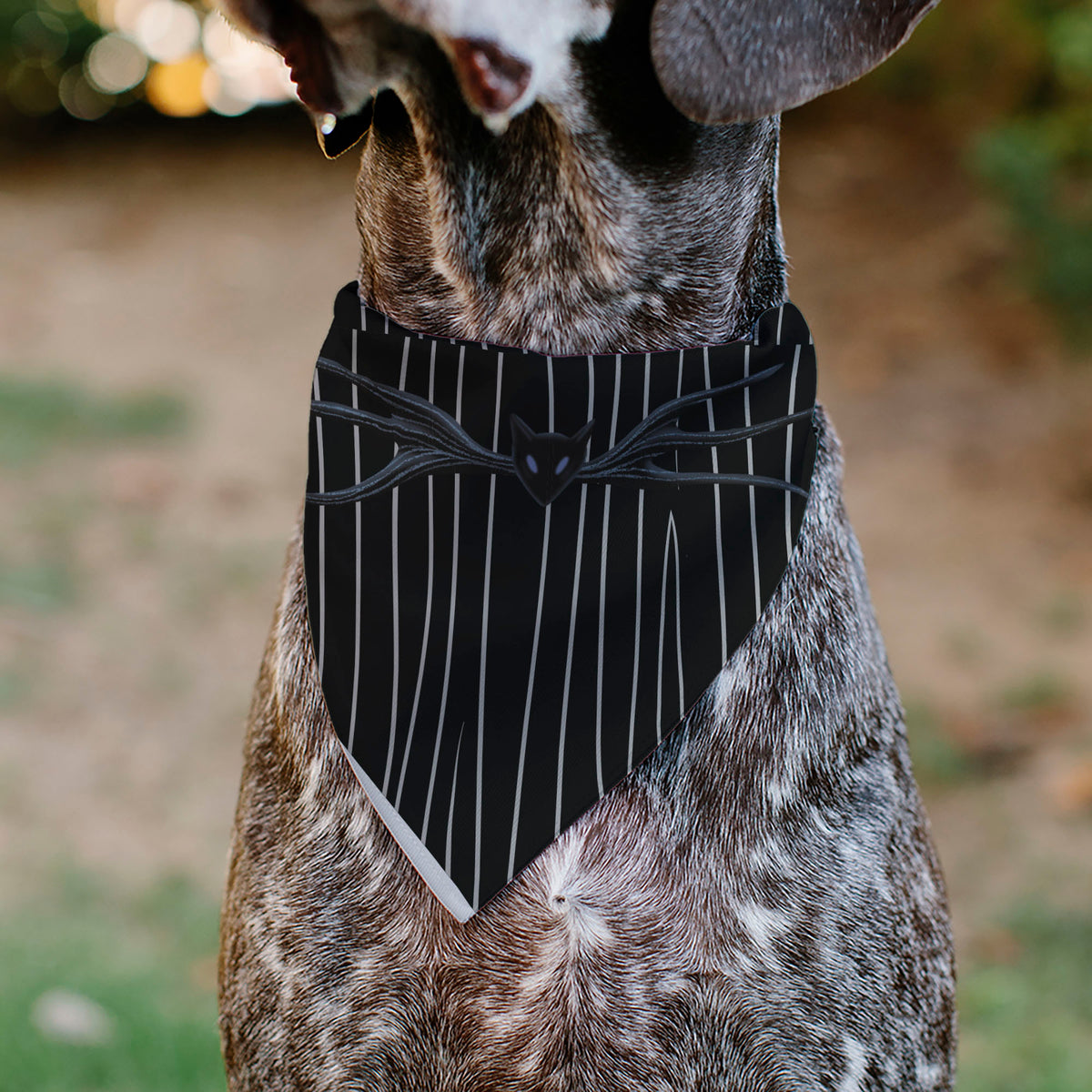 Pet Bandana - The Nightmare Before Christmas Jack Bat Tie and Suit Stripe Black/White