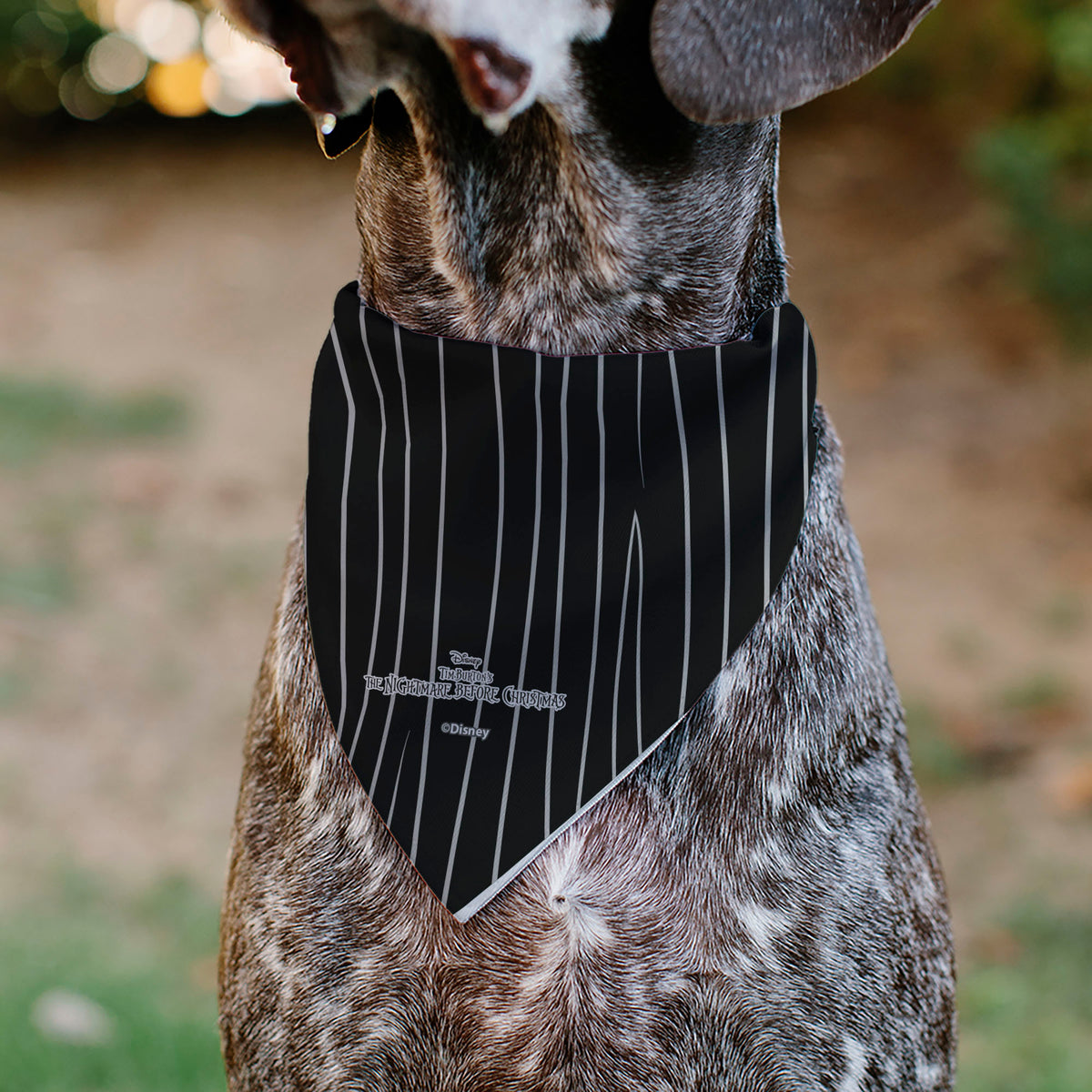 Pet Bandana - The Nightmare Before Christmas Jack Bat Tie and Suit Stripe Black/White