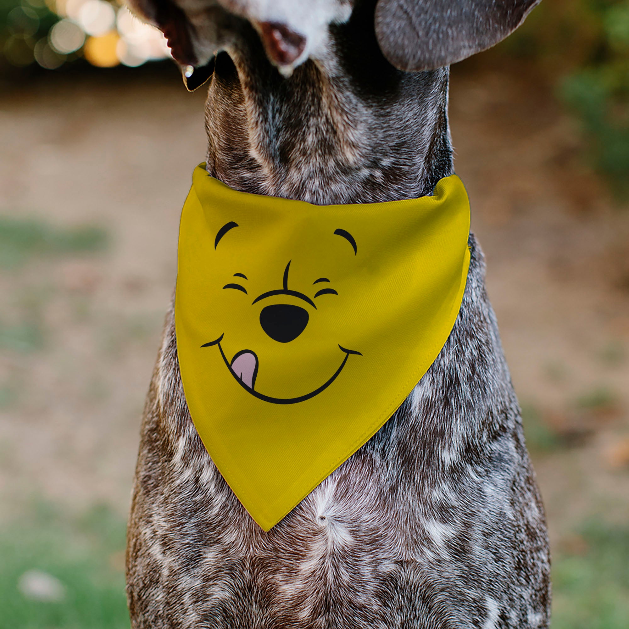 Pet Bandana - Winnie the Pooh Winking Smiling Face Golden Yellow