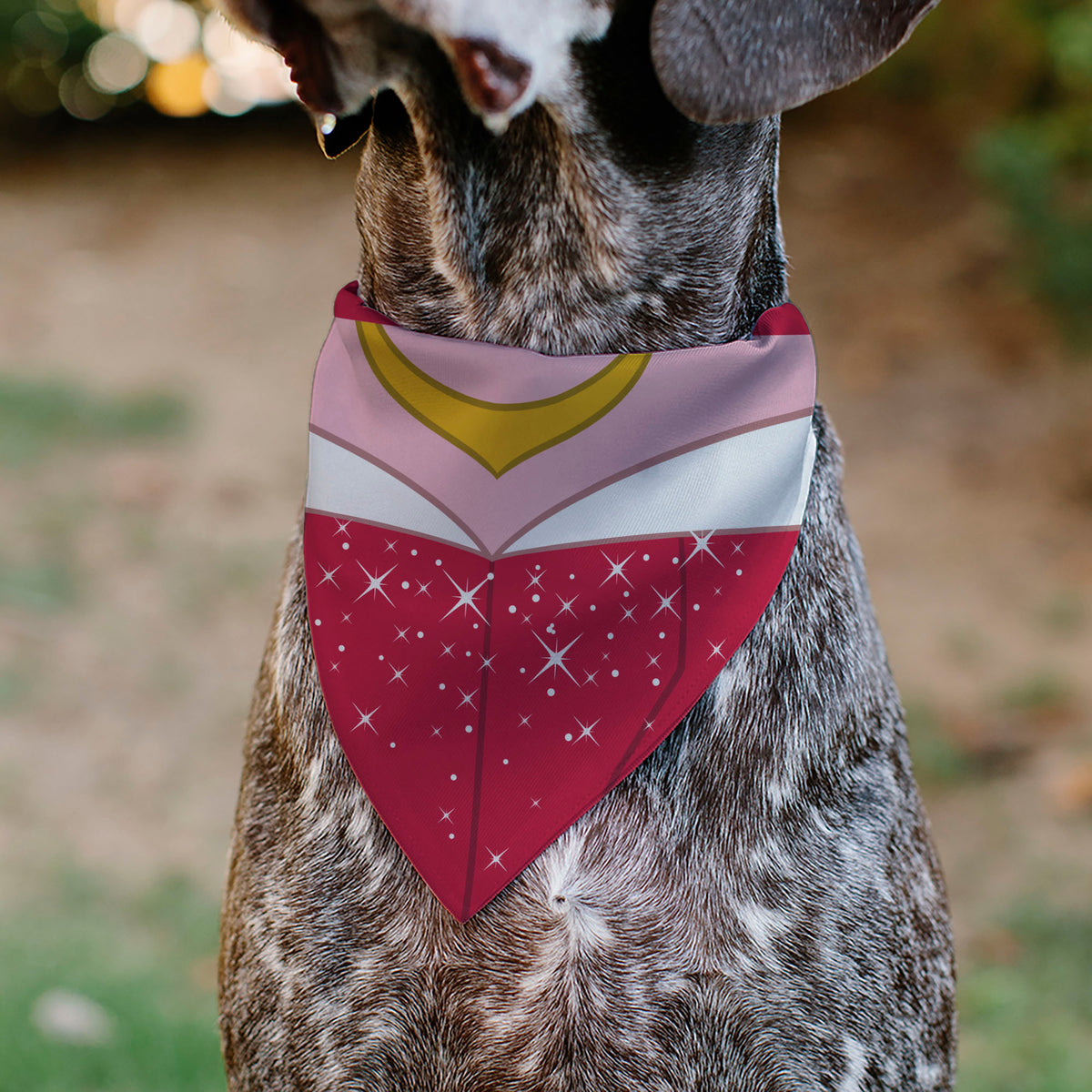 Pet Bandana - Sleeping Beauty Princess Aurora Dress Print Pink Pet Bandanas Disney