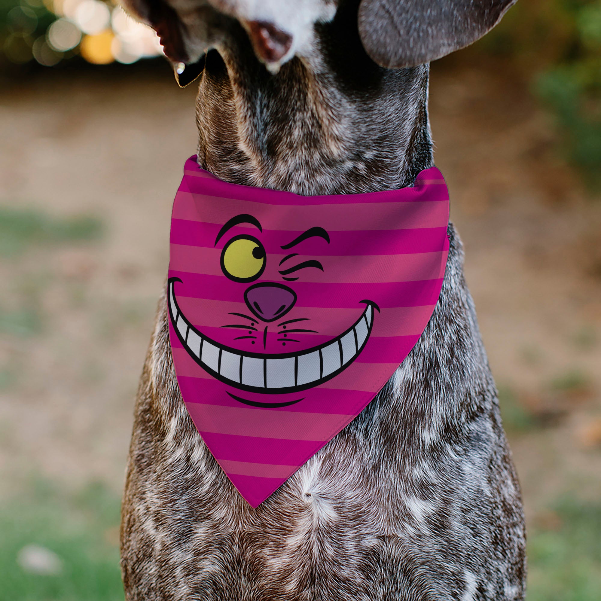 Pet Bandana - Alice in Wonderland Cheshire Cat Winking Smile Pinks Pet Bandanas Disney