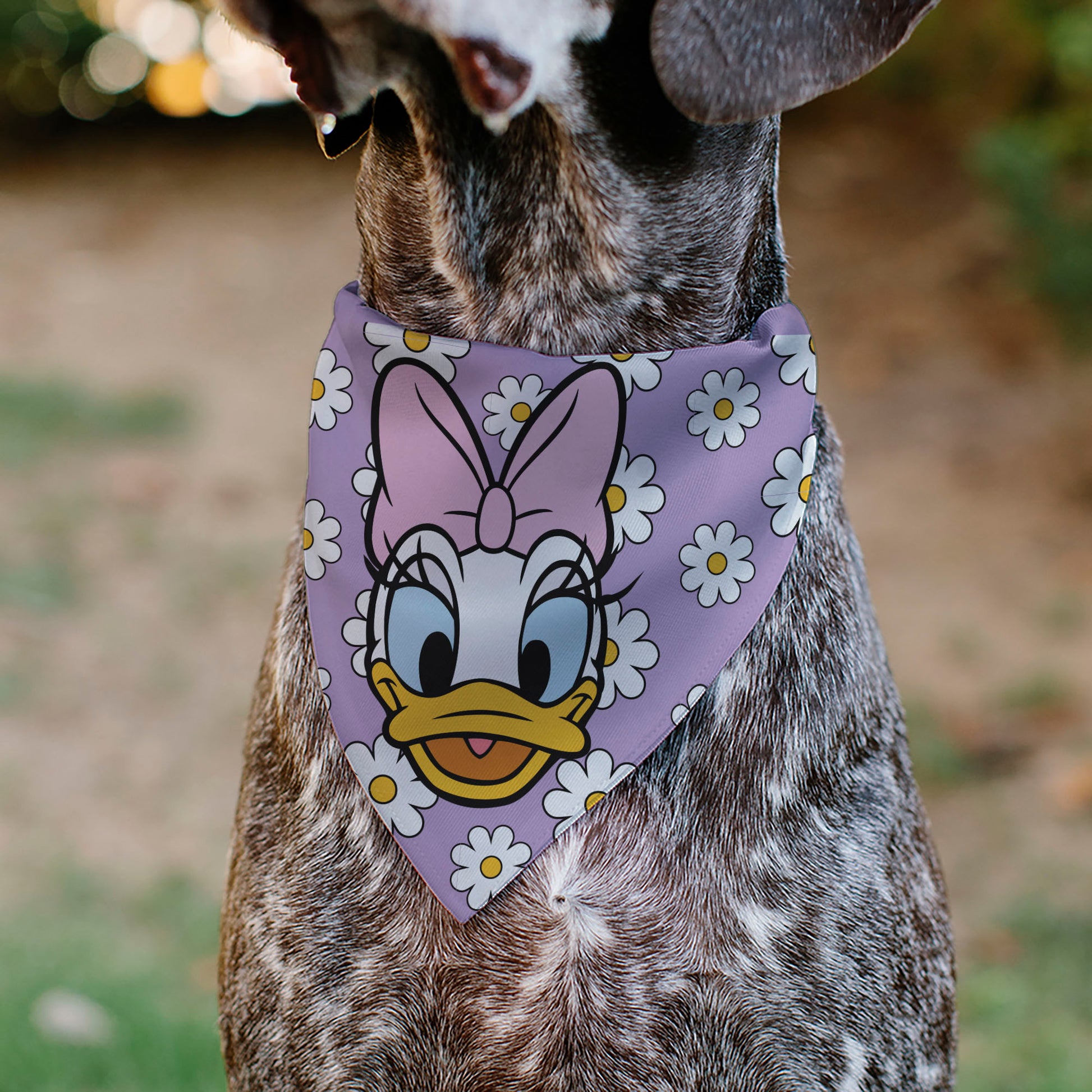 Pet Bandana - Daisy Duck Smiling Pose with Daisies Lavender Pet Bandanas Disney