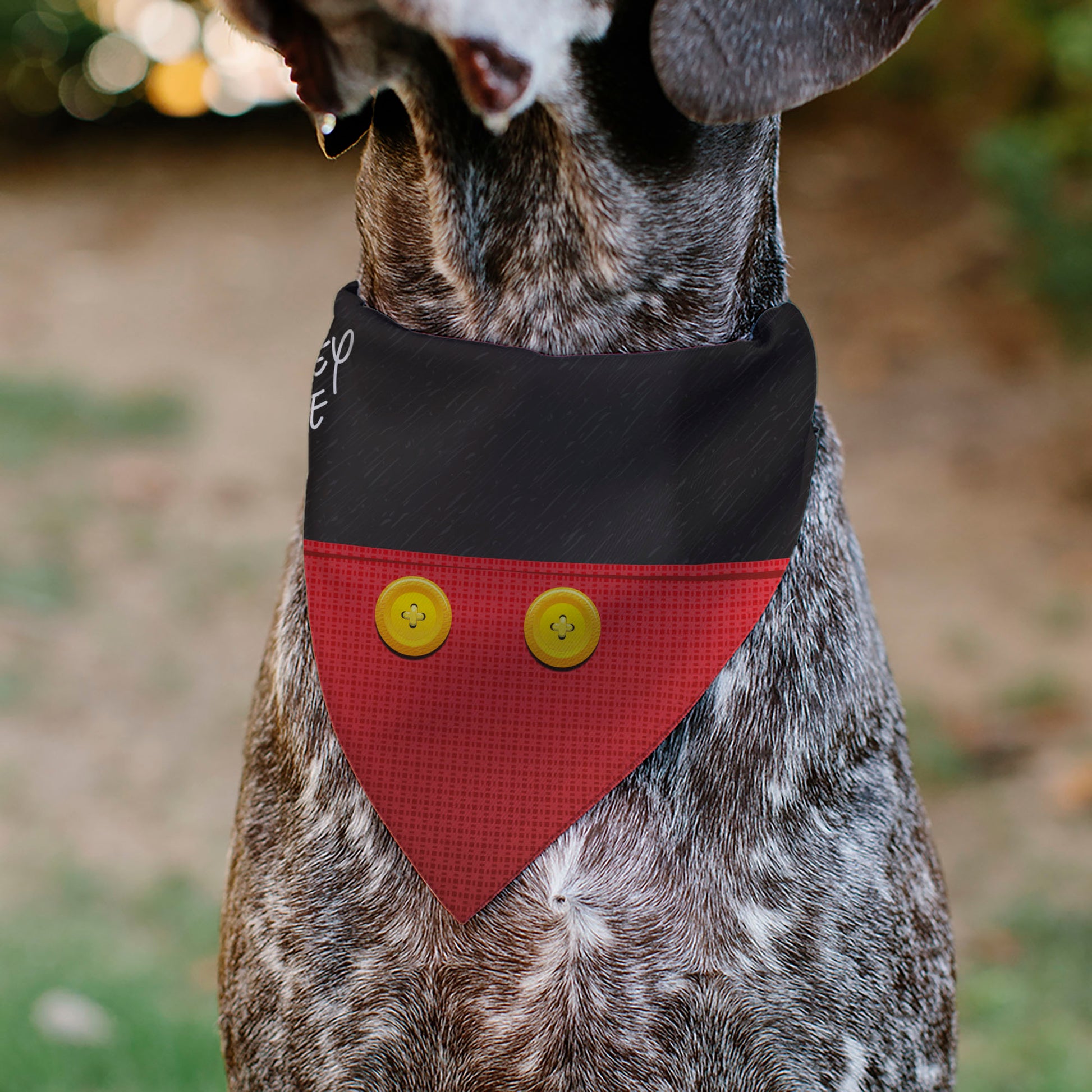 Pet Bandana - Mickey Mouse Buttons Black/Red Pet Bandanas Disney