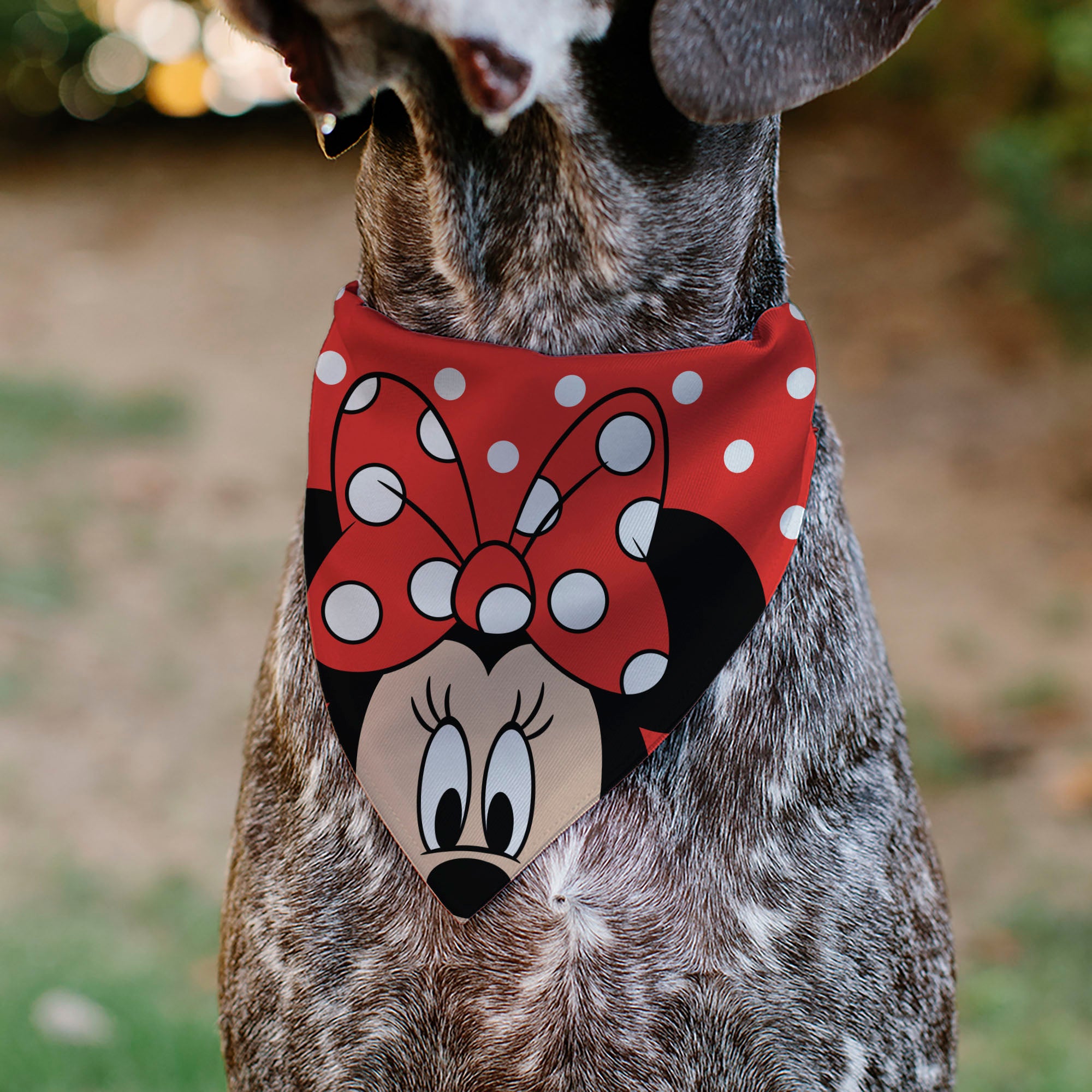 Pet Bandana - Minnie Mouse Face Polka Dot Red/White Pet Bandanas Disney