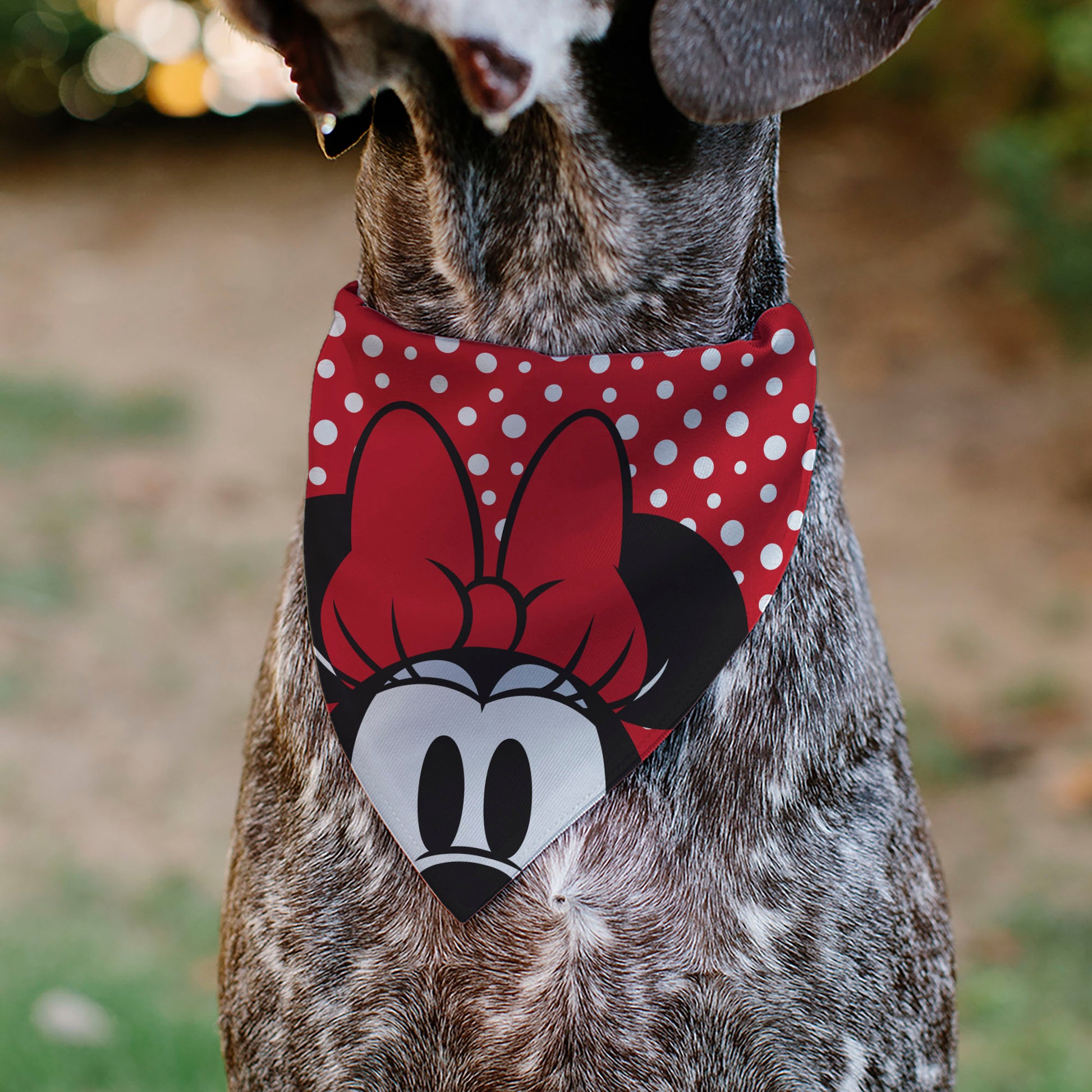 Pet Bandana - Minnie Mouse Button Eyes Pose Polka Dot Red/White Pet Bandanas Disney