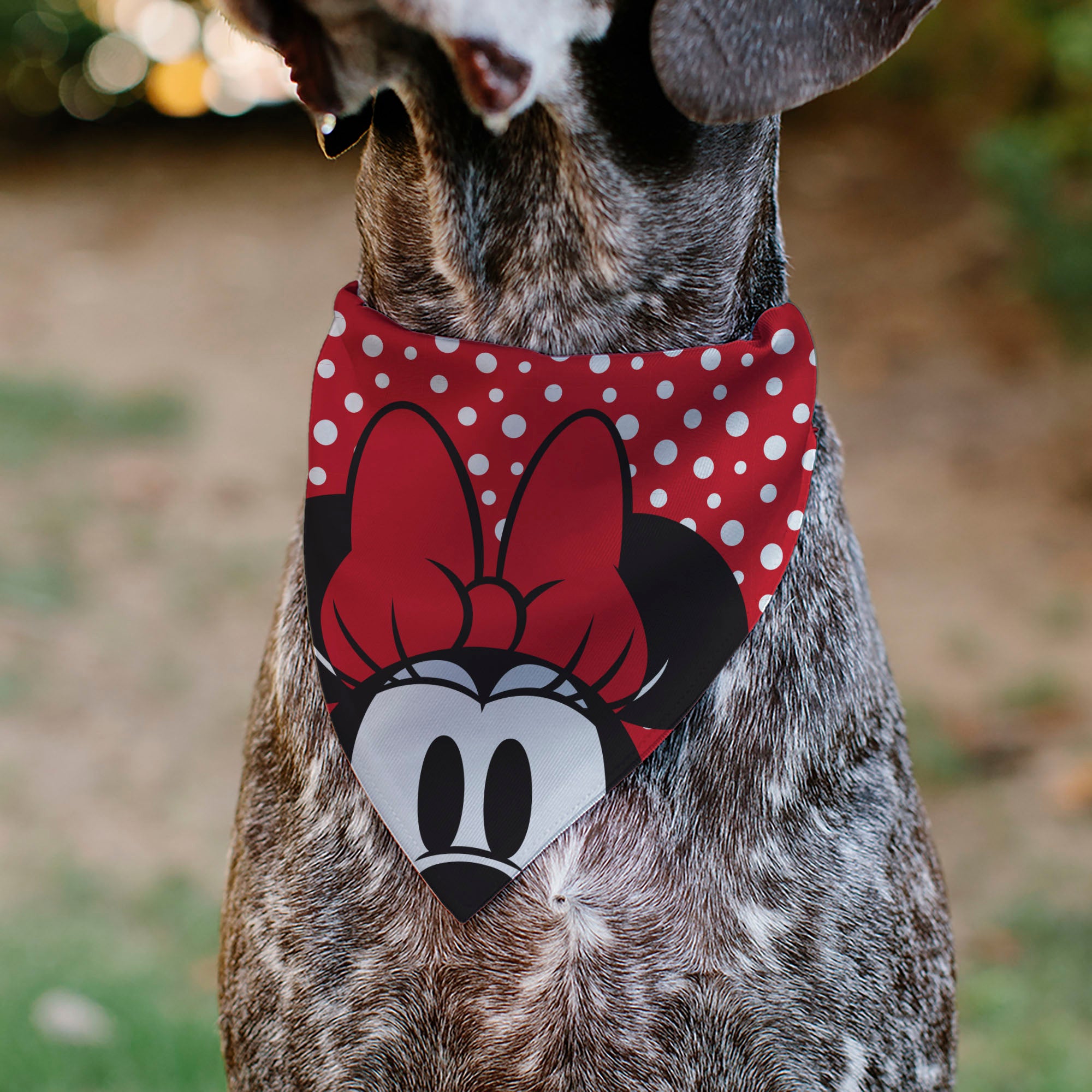 Pet Bandana - Minnie Mouse Button Eyes Pose Polka Dot Red/White Pet Bandanas Disney
