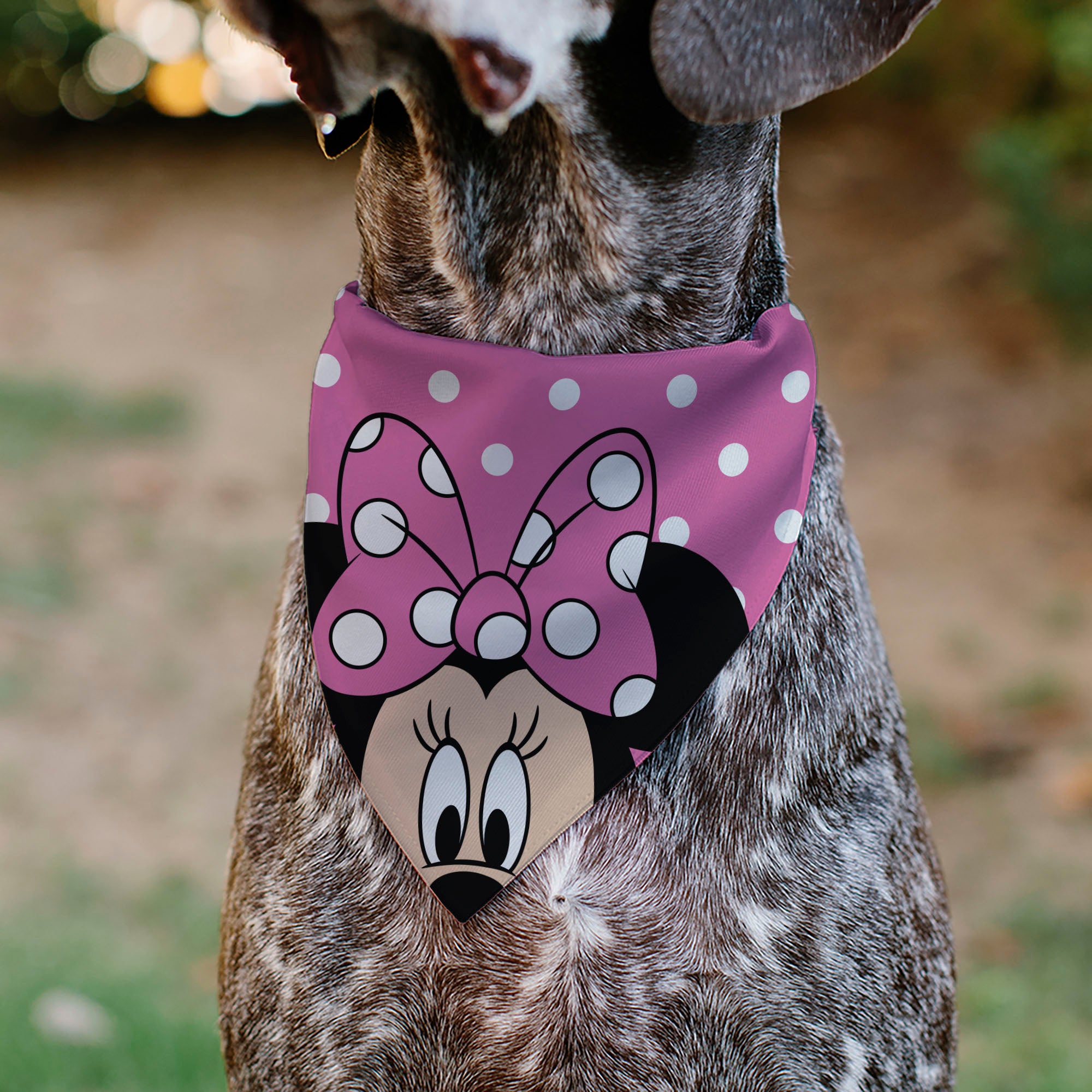 Pet Bandana - Minnie Mouse Face Polka Dot Pink/White Pet Bandanas Disney