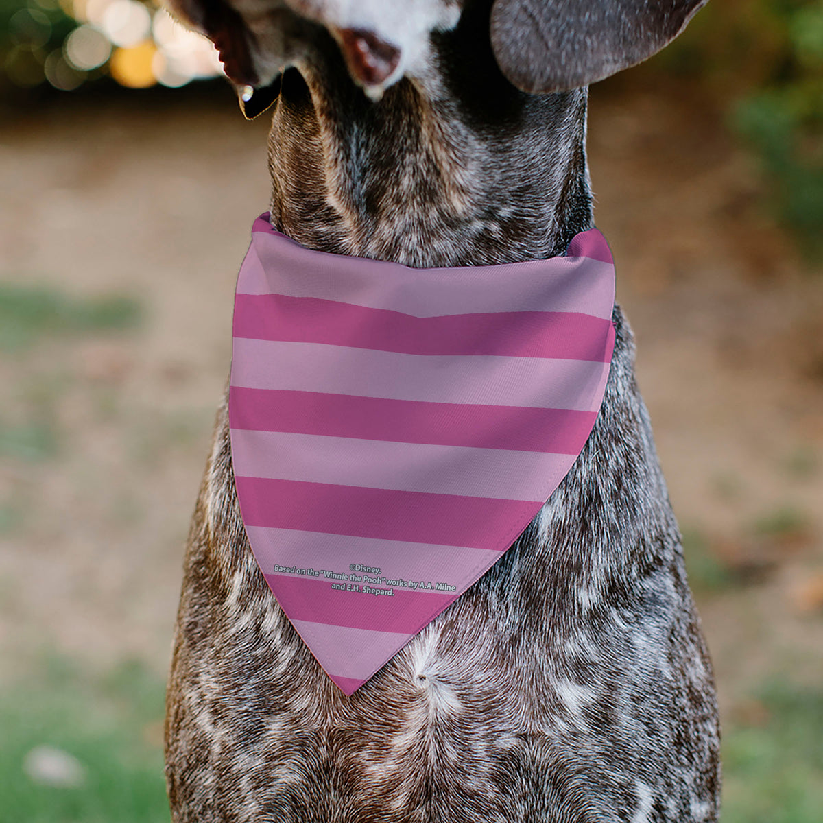 Pet Bandana - Piglet Face and Stripes Pinks Pet Bandanas Disney