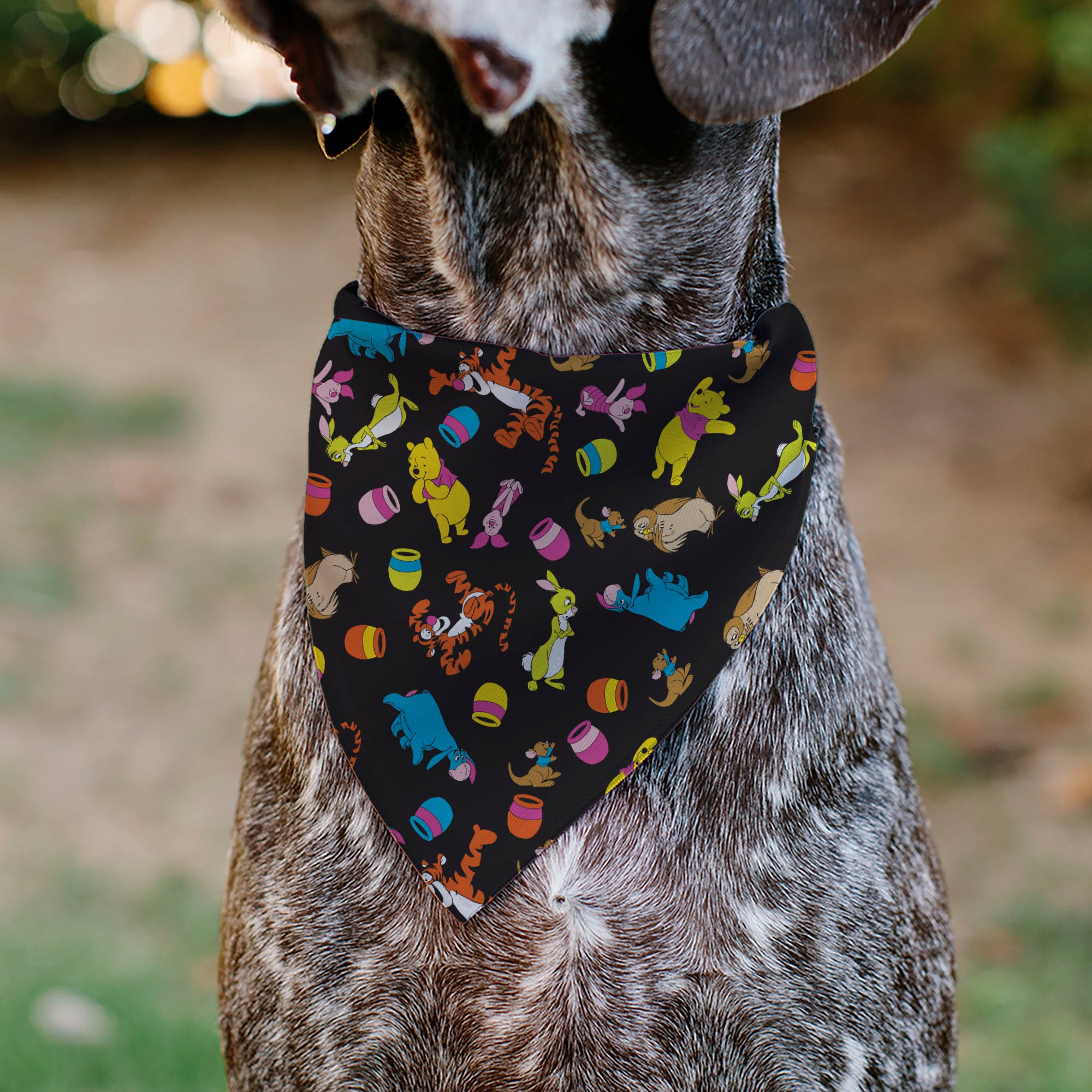 Pet Bandana - Winnie the Pooh Characters and Hunny Pots Collage Black Pet Bandanas Disney