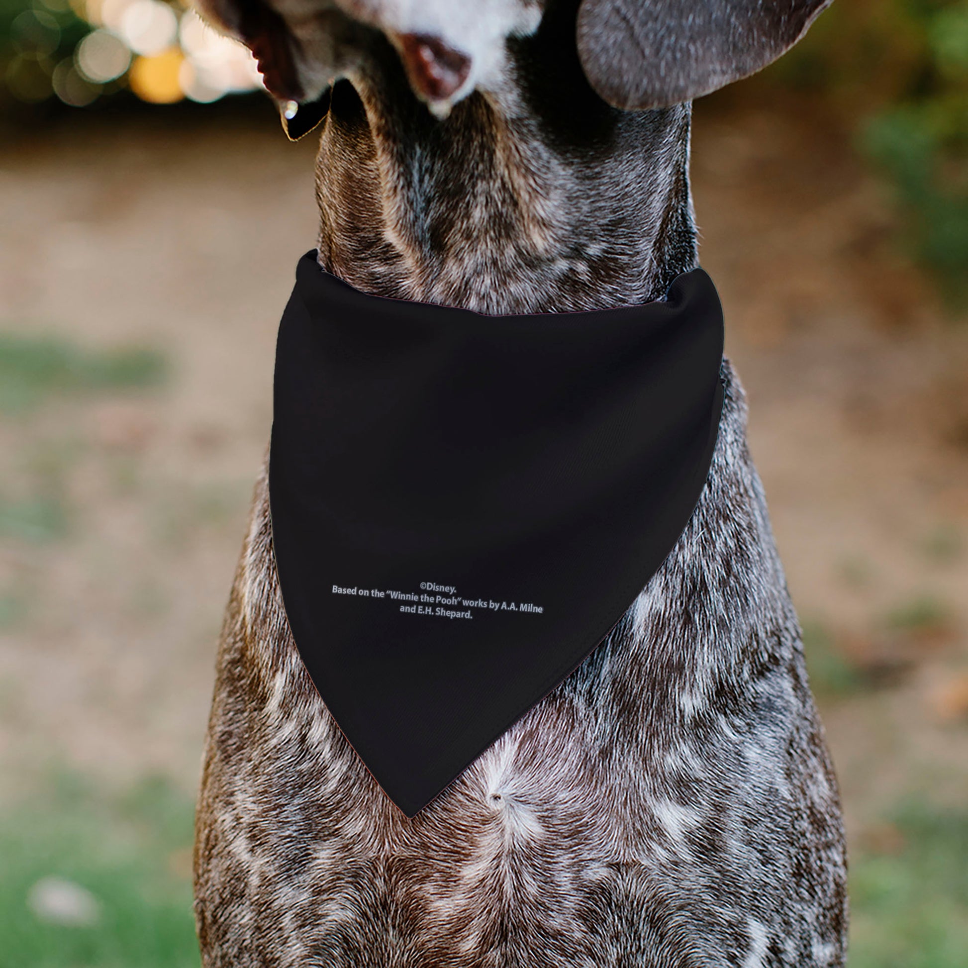 Pet Bandana - Winnie the Pooh Characters and Hunny Pots Collage Black Pet Bandanas Disney