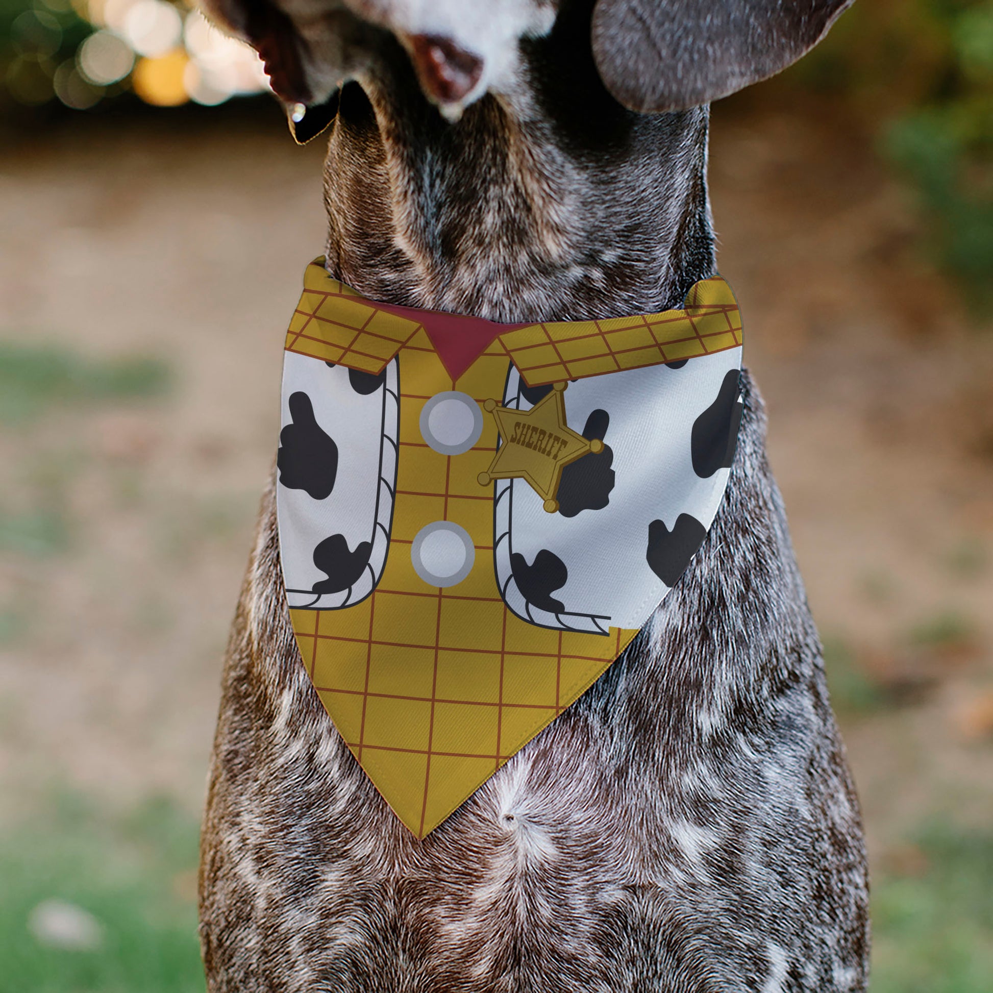 Pet Bandana - Toy Story Woody Bounding Costume Bodice Pet Bandanas Disney