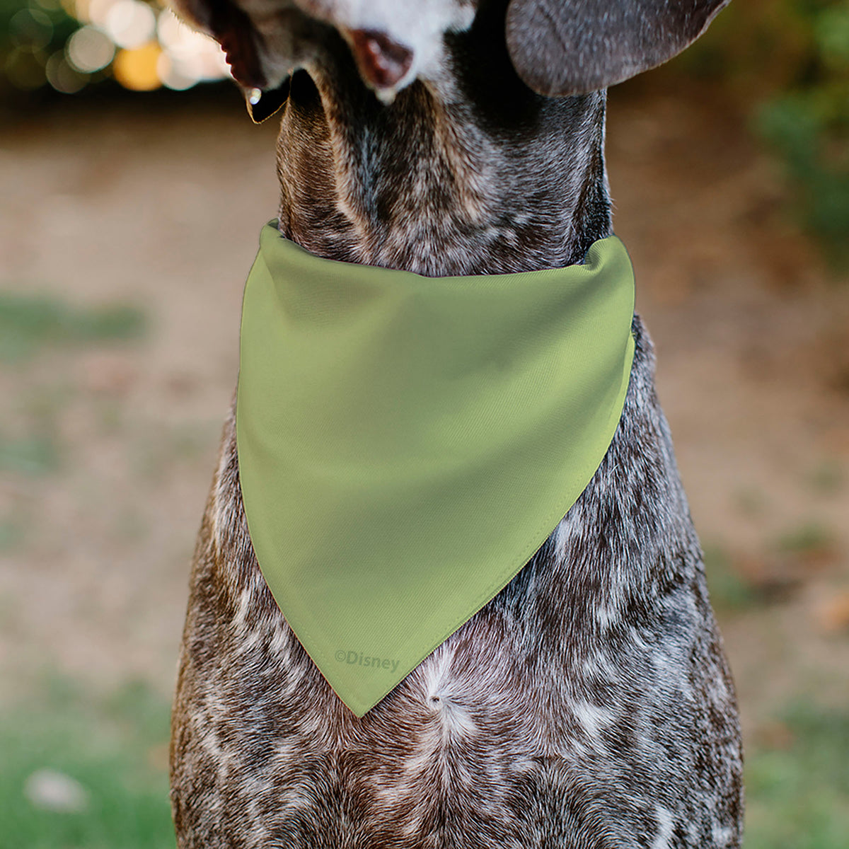 Pet Bandana - The Princess and the Frog Princess Tiana Dress Print Greens/Yellow Pet Bandanas Disney