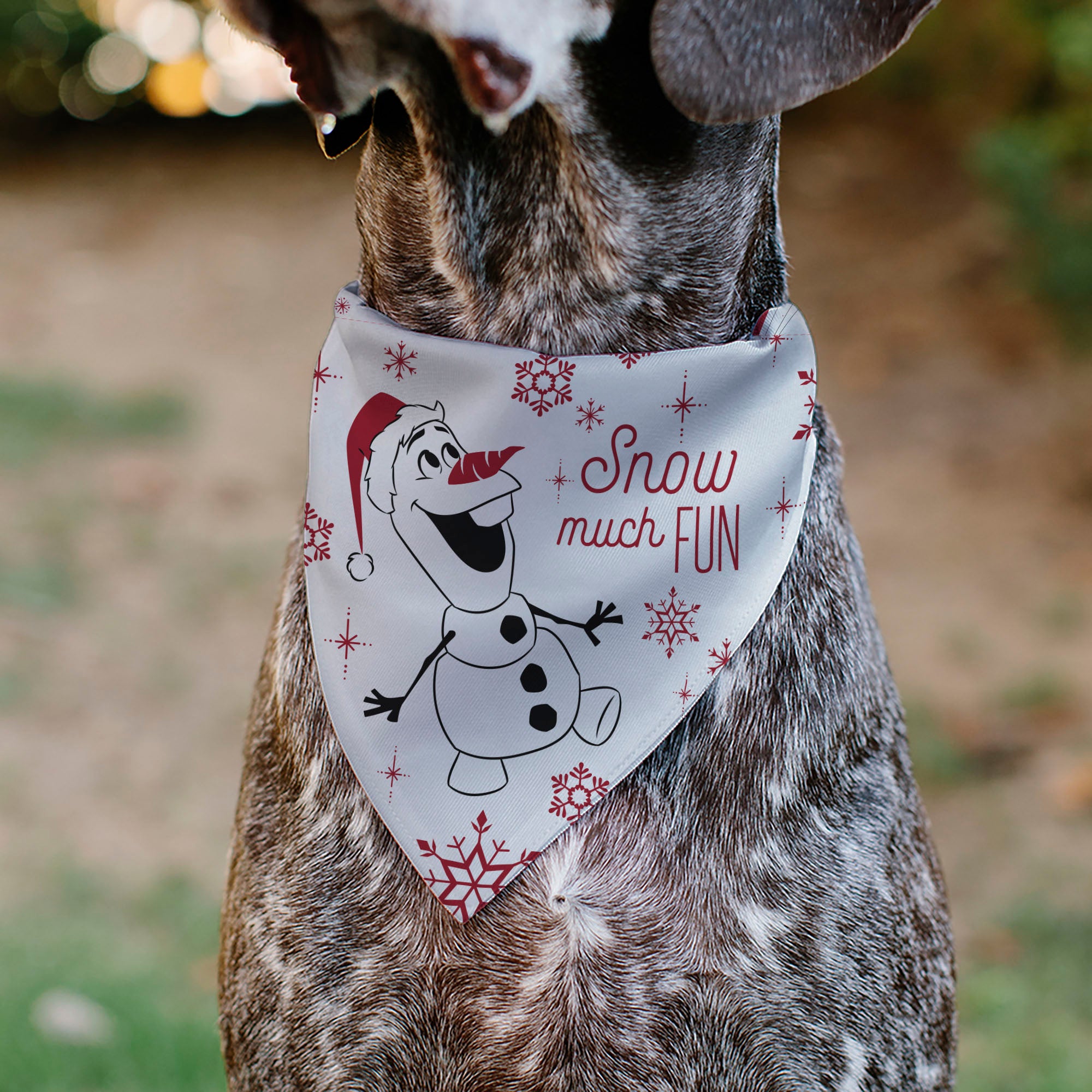 Pet Bandana - Frozen Olaf SNOW MUCH FUN Pose with Anna and Else Poses White/Red Pet Bandanas Disney