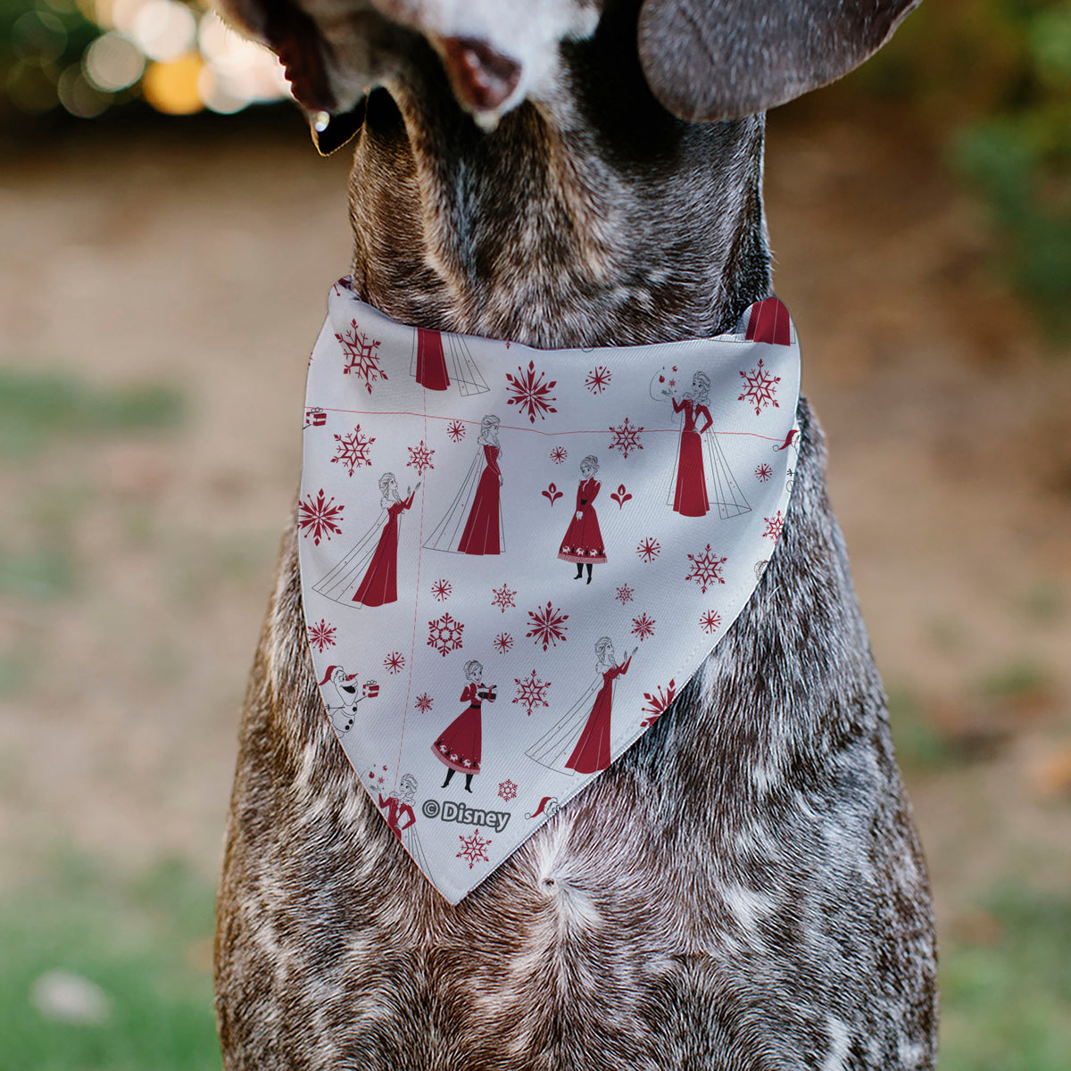 Pet Bandana - Frozen Olaf SNOW MUCH FUN Pose with Anna and Else Poses White/Red Pet Bandanas Disney