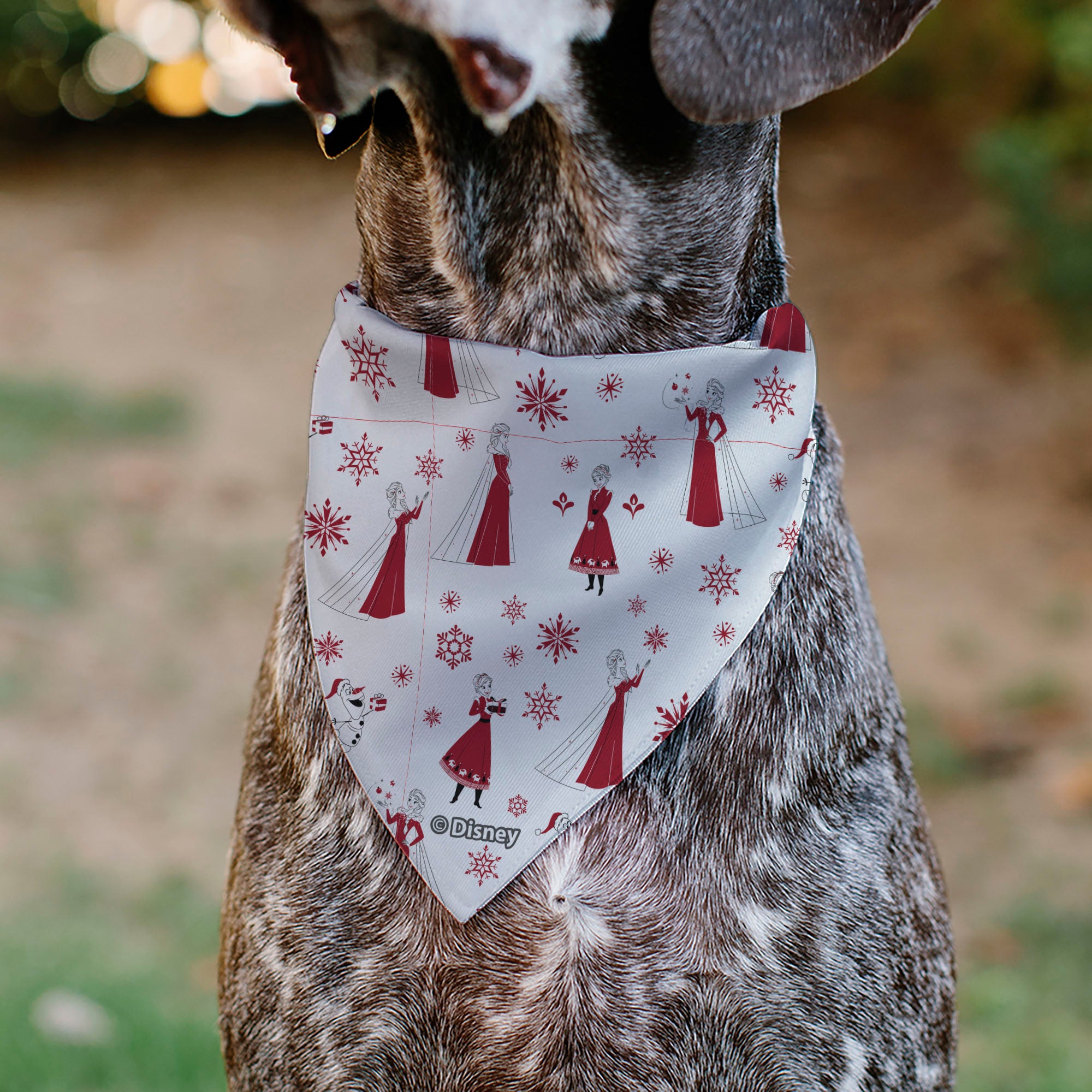 Pet Bandana - Frozen Olaf SNOW MUCH FUN Pose with Anna and Else Poses White/Red Pet Bandanas Disney