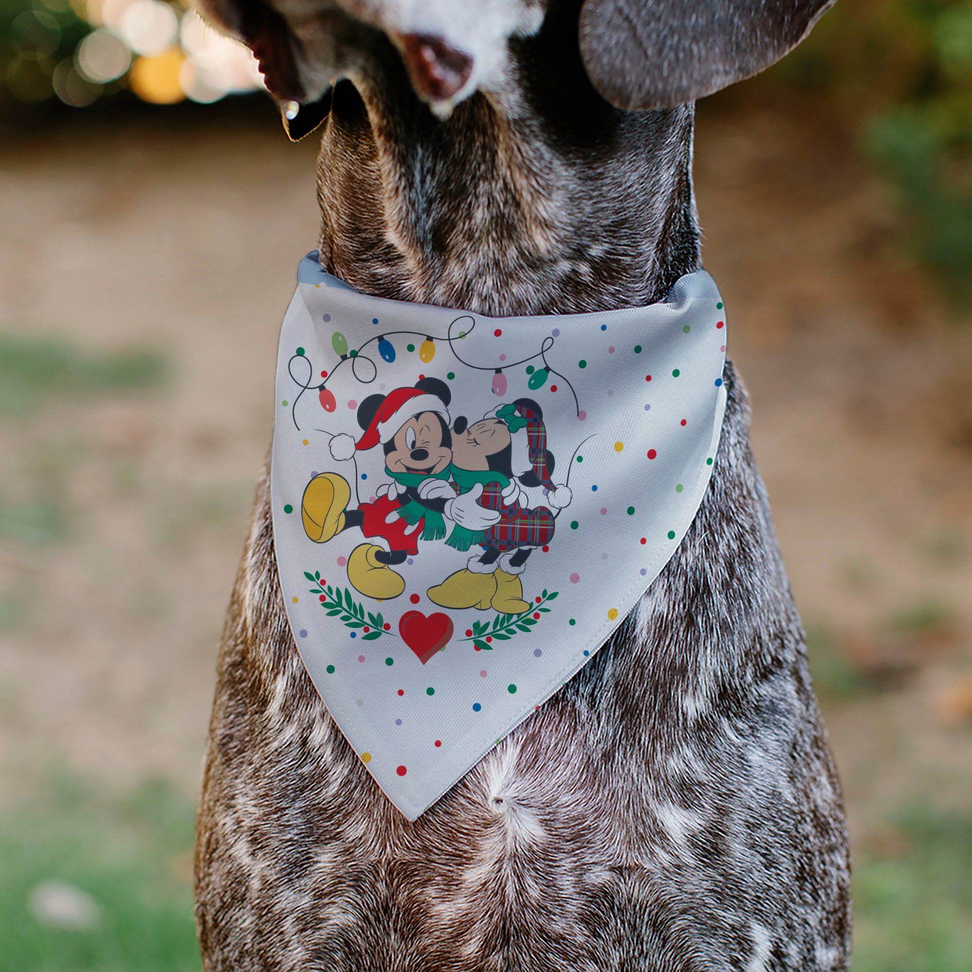 Pet Bandana - Mickey and Minnie Holiday Kiss and Sled Poses Multi Color Pet Bandanas Disney