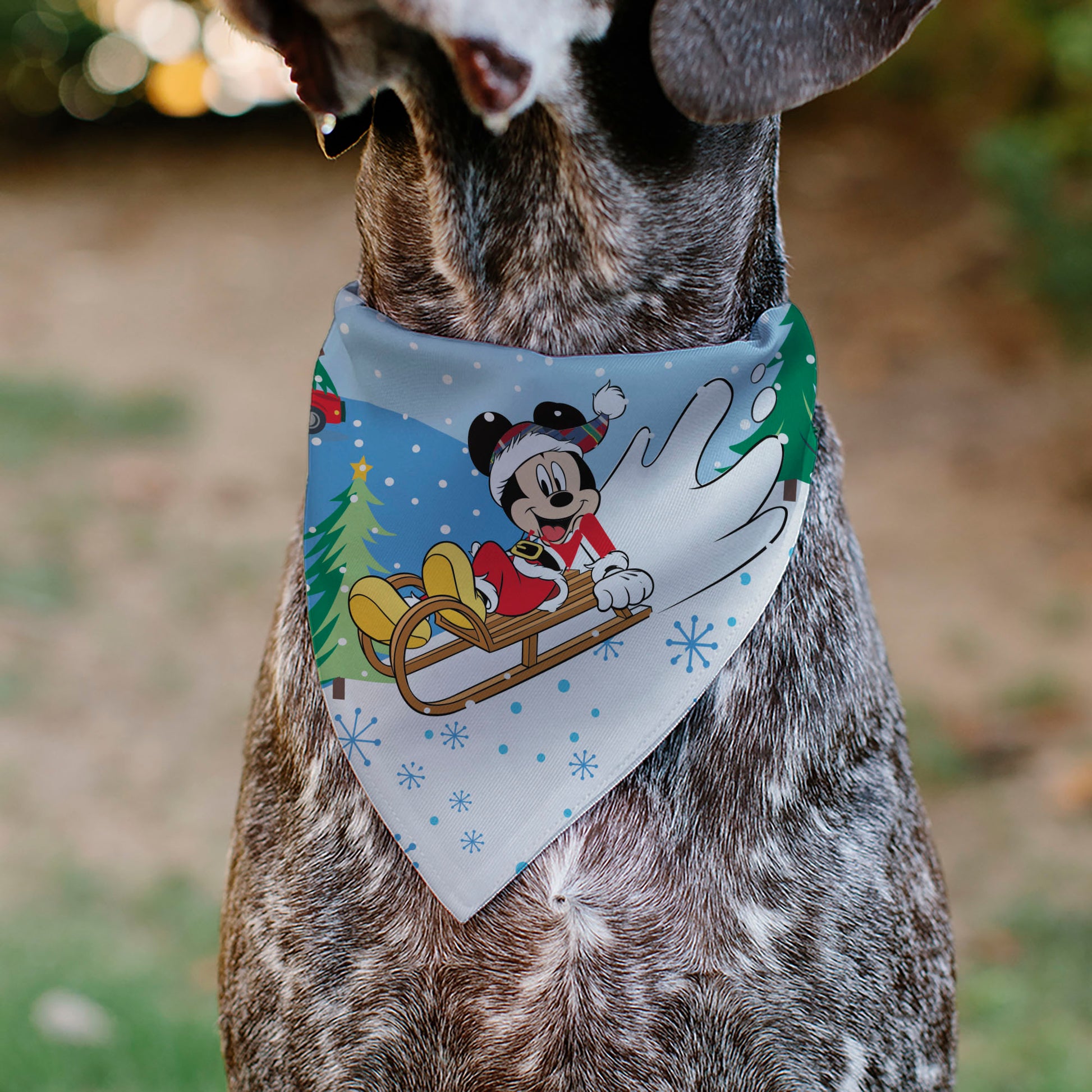 Pet Bandana - Mickey and Minnie Holiday Kiss and Sled Poses Multi Color Pet Bandanas Disney
