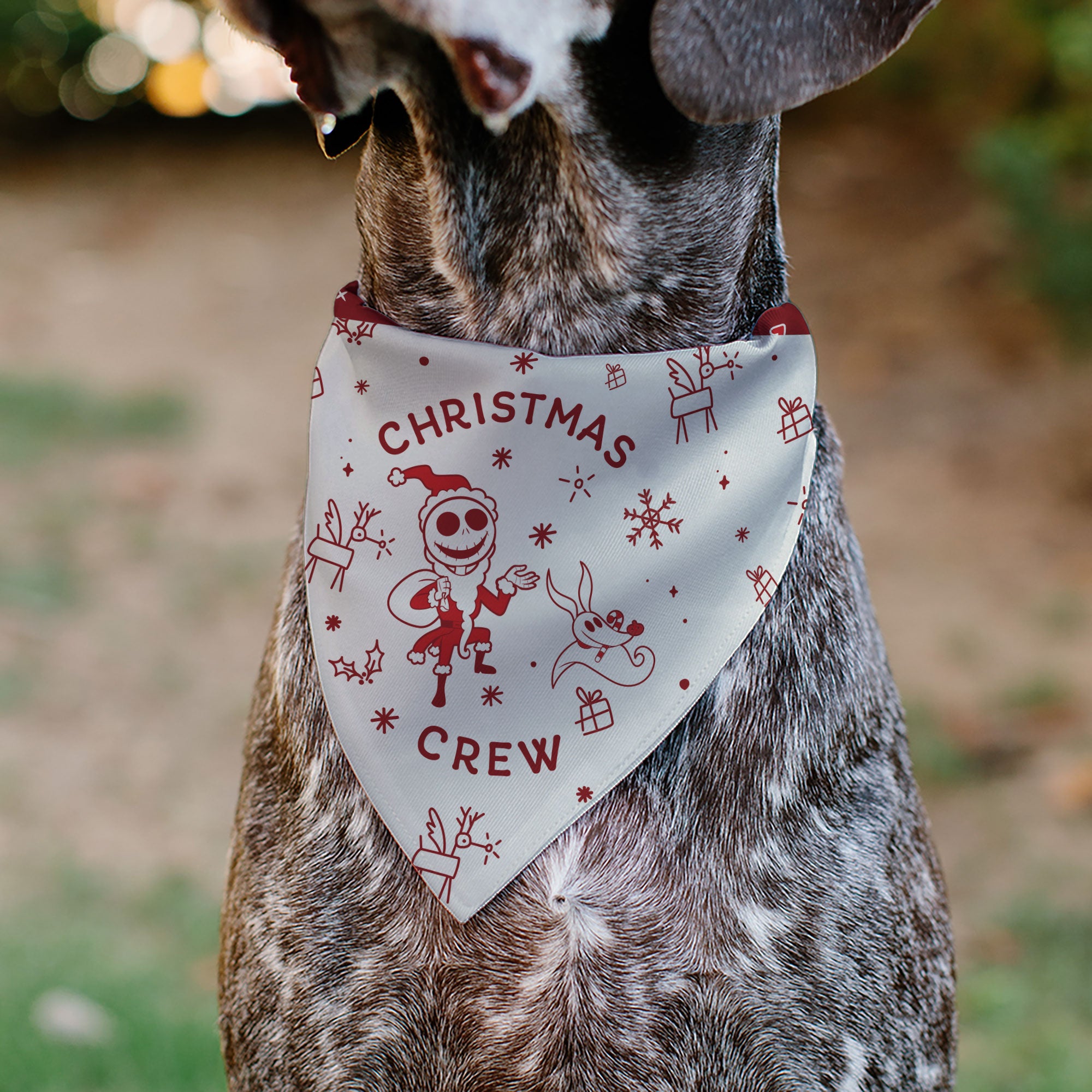 Pet Bandana - The Nightmare Before Christmas Jack and Zero CHRISTMAS CREW Pose with Icons Scattered White/Reds Pet Bandanas Disney
