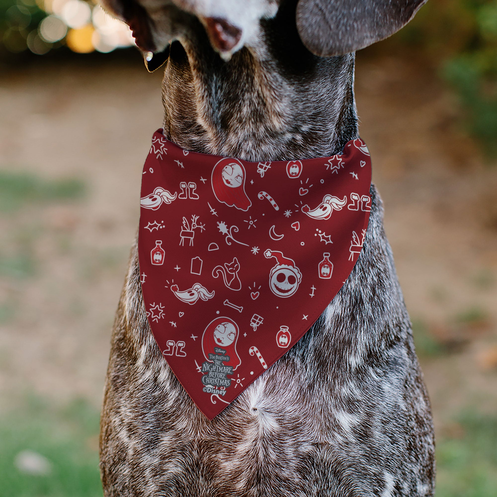 Pet Bandana - The Nightmare Before Christmas Jack and Zero CHRISTMAS CREW Pose with Icons Scattered White/Reds Pet Bandanas Disney