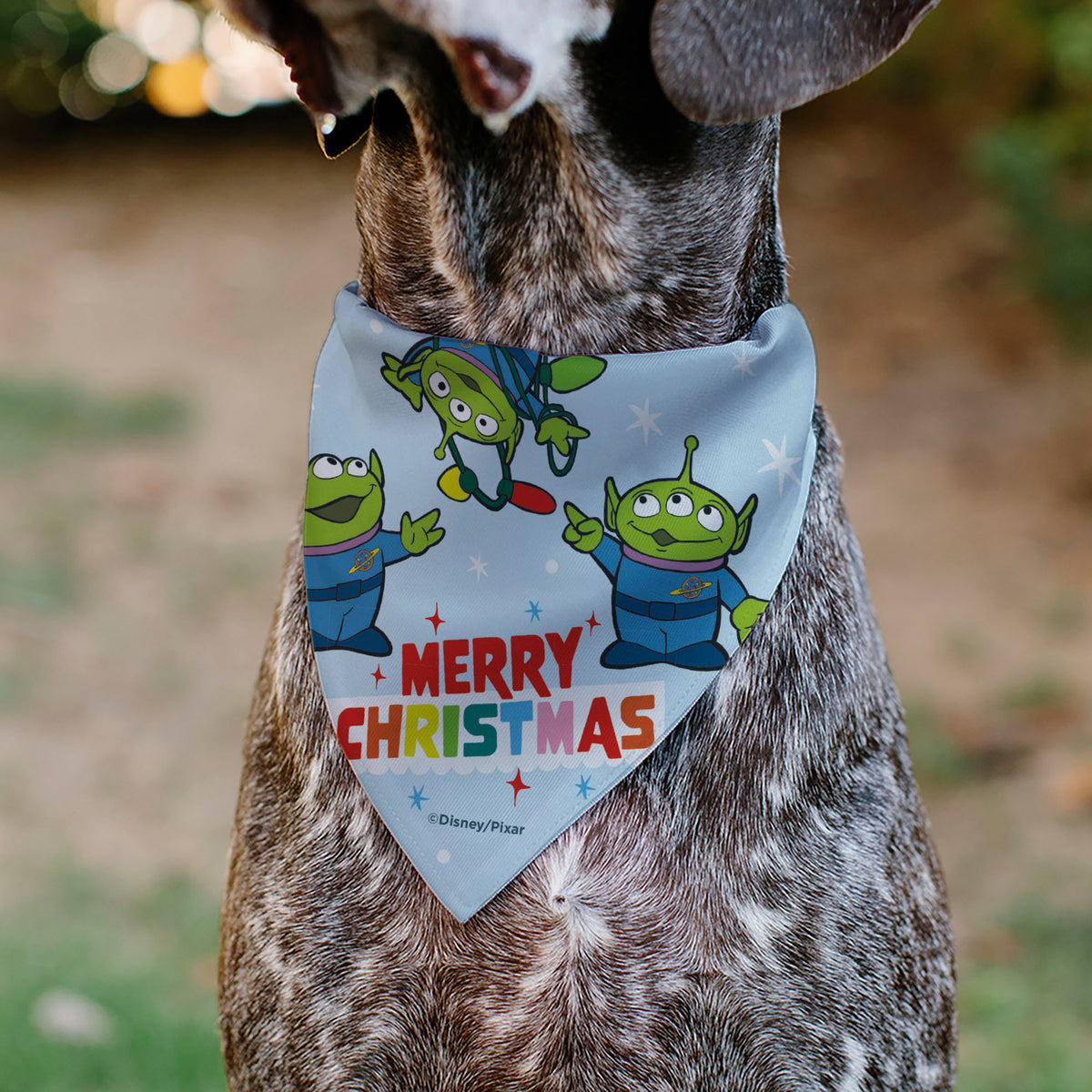 Pet Bandana - Holiday Toy Story 4 Characters MERRY CHRISTMAS Group Pose Light Blue Pet Bandanas Disney
