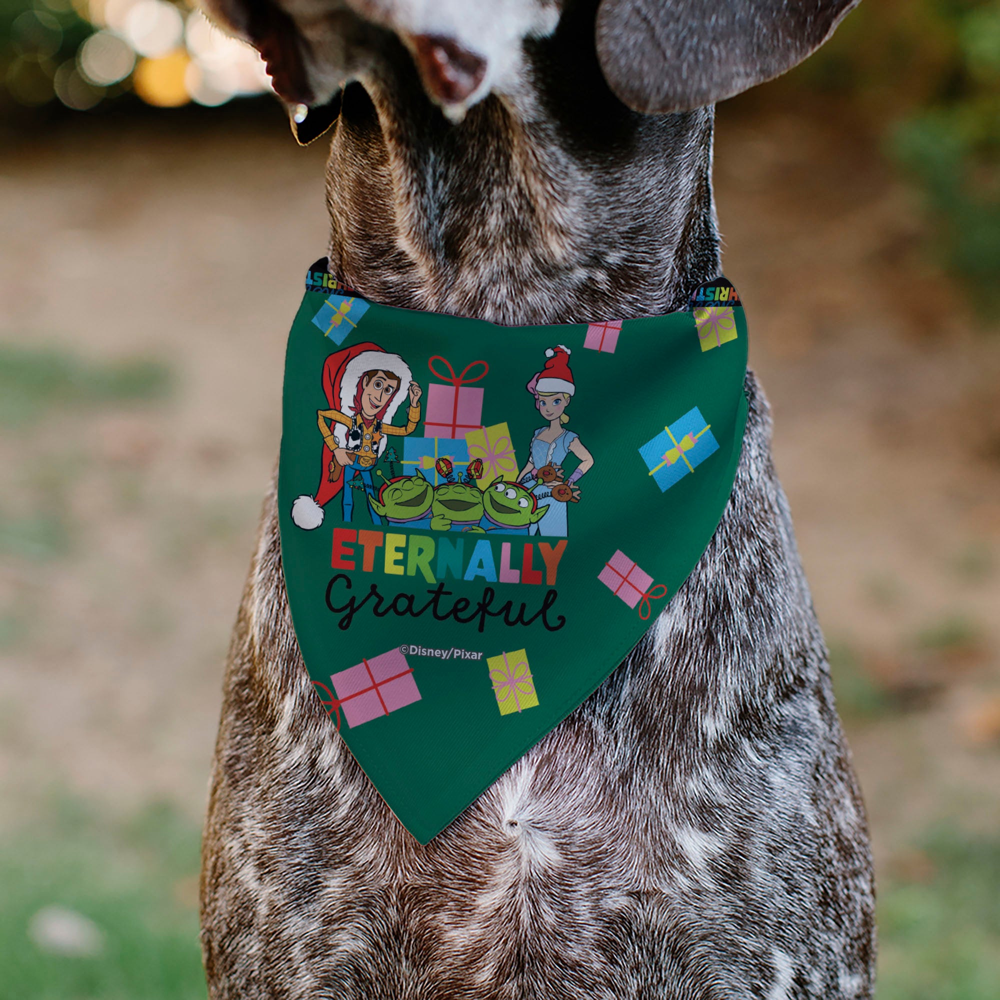 Pet Bandana - Toy Story ETERNALLY GRATEFUL Holiday Pose and Icons Multi Color Pet Bandanas Disney