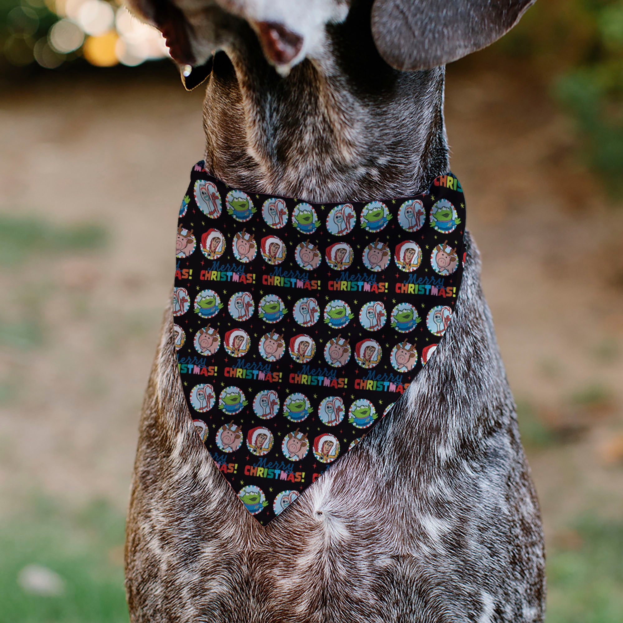 Pet Bandana - Toy Story ETERNALLY GRATEFUL Holiday Pose and Icons Multi Color Pet Bandanas Disney