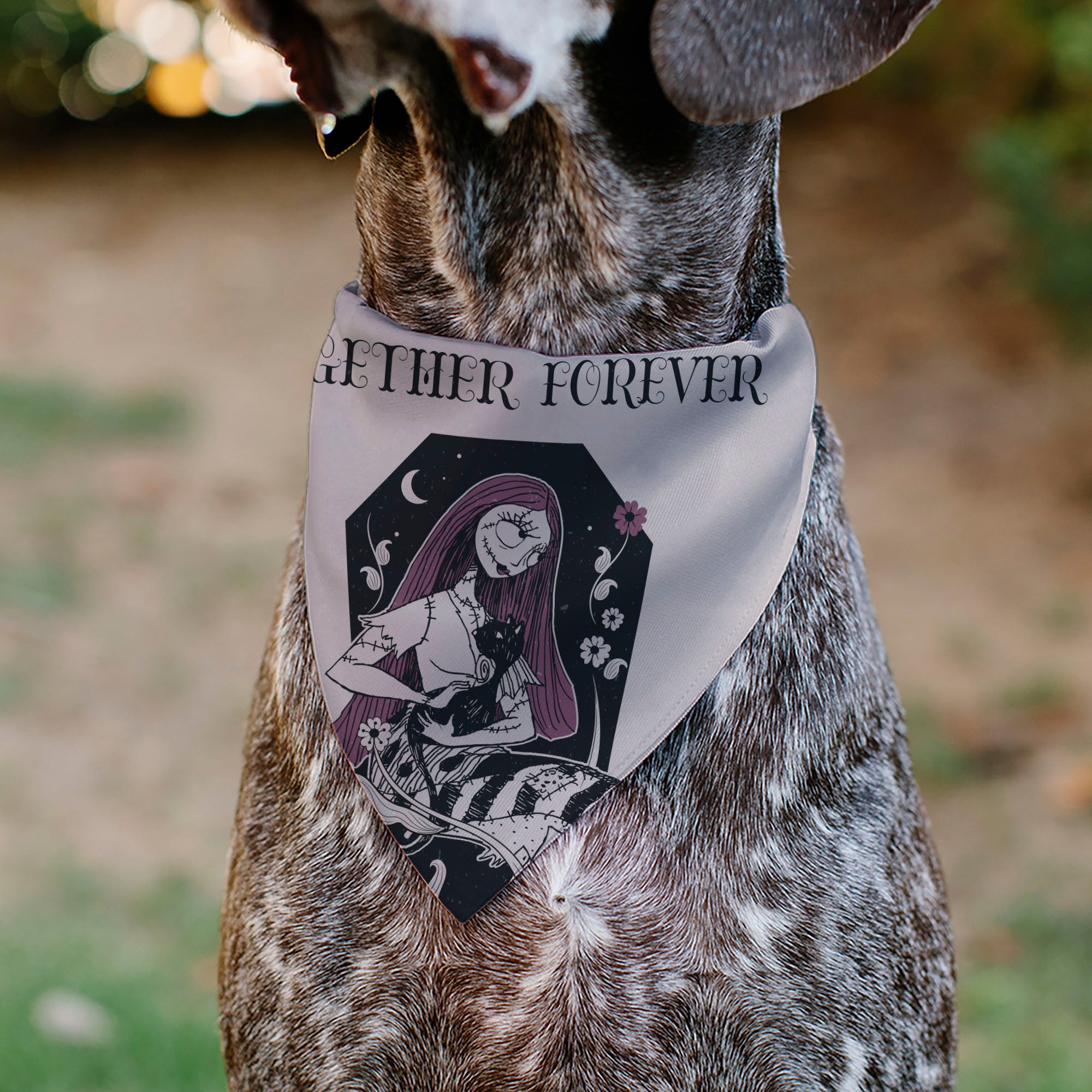 Pet Bandana - The Nightmare Before Christmas Sally and Black Cat TOGETHER FOREVER Pose