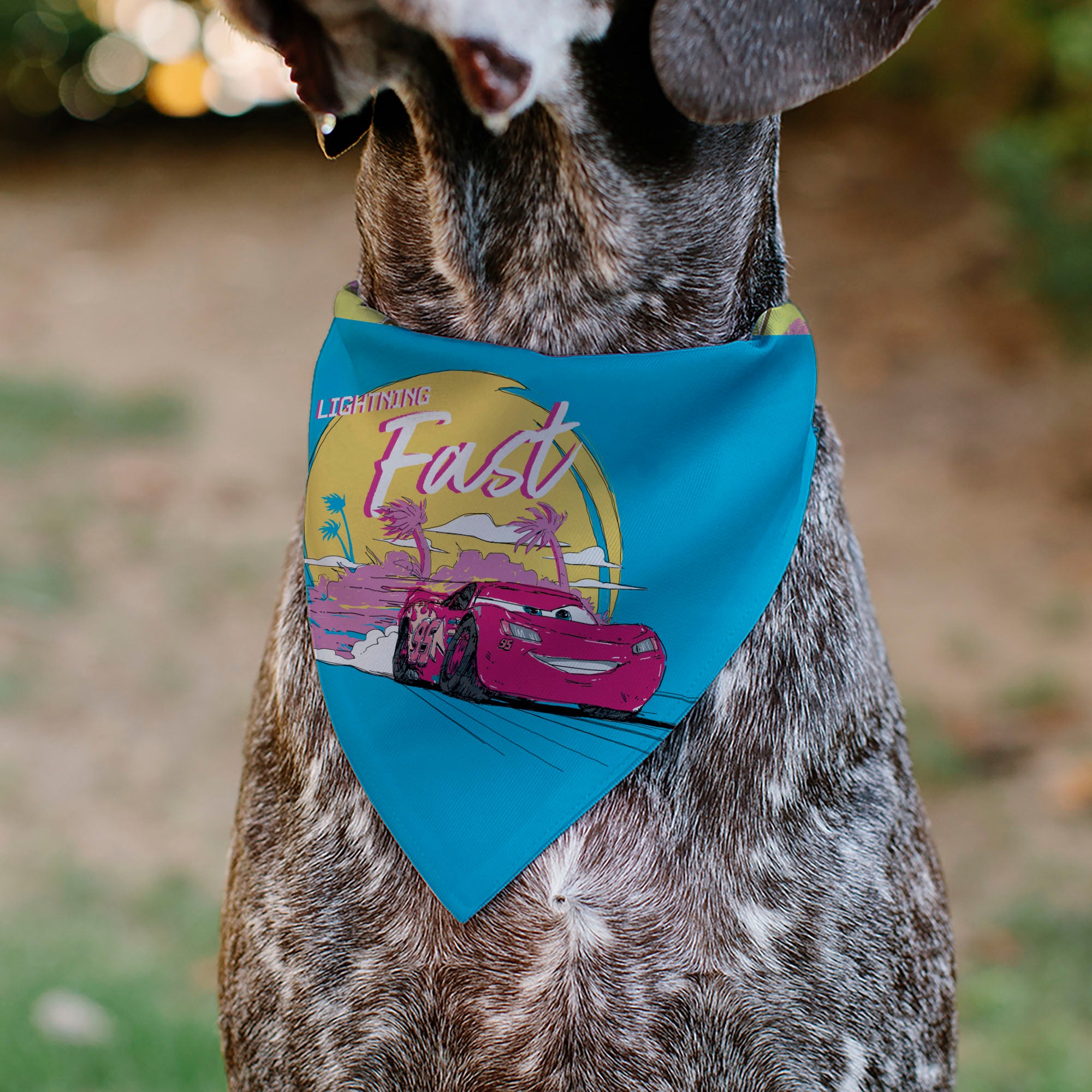 Pet Bandana - Cars Lightning McQueen LIGHTNING FAST Pose and Icons Pet Bandanas Disney