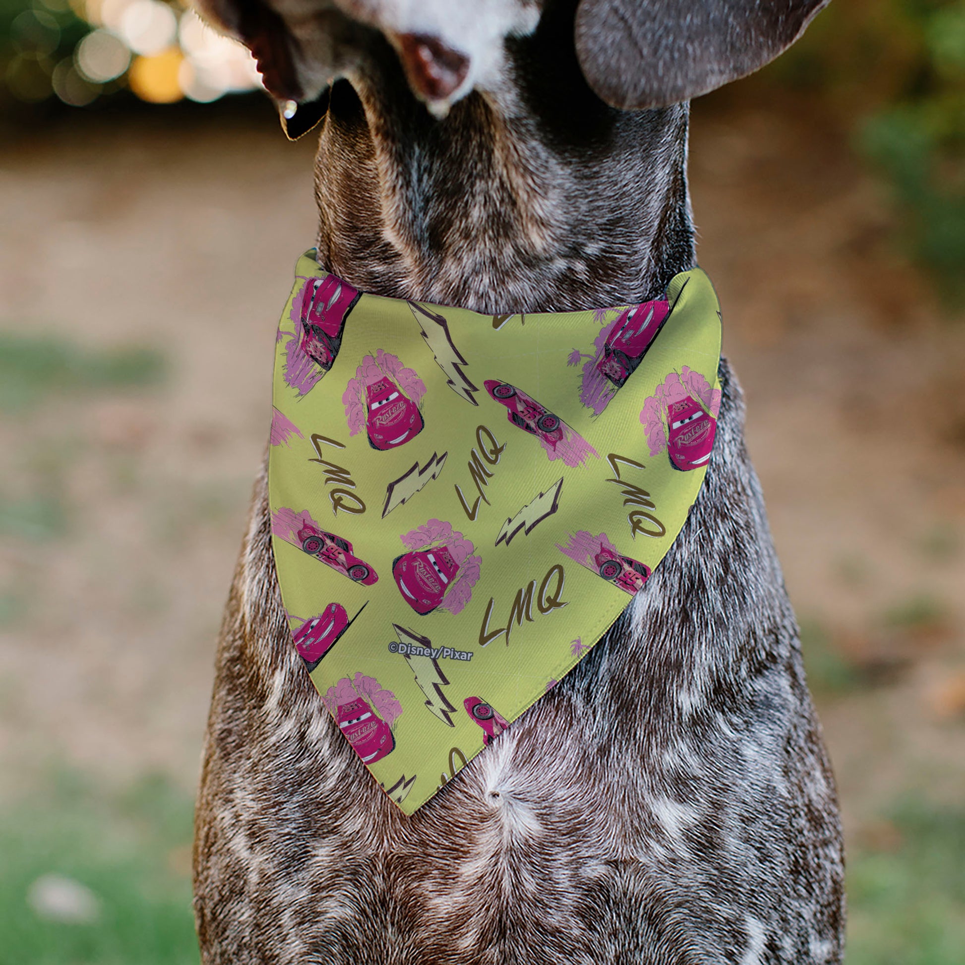 Pet Bandana - Cars Lightning McQueen LIGHTNING FAST Pose and Icons Pet Bandanas Disney