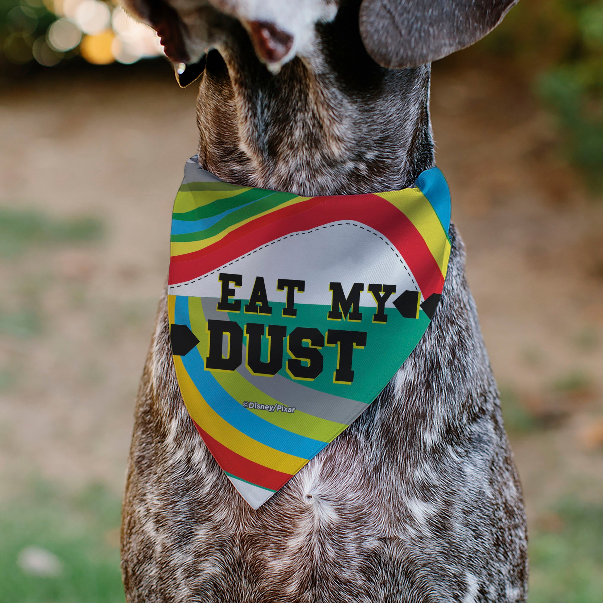 Pet Bandana - Cars Lightning McQueen EAT MY DUST Pose Multi Color Pet Bandanas Disney