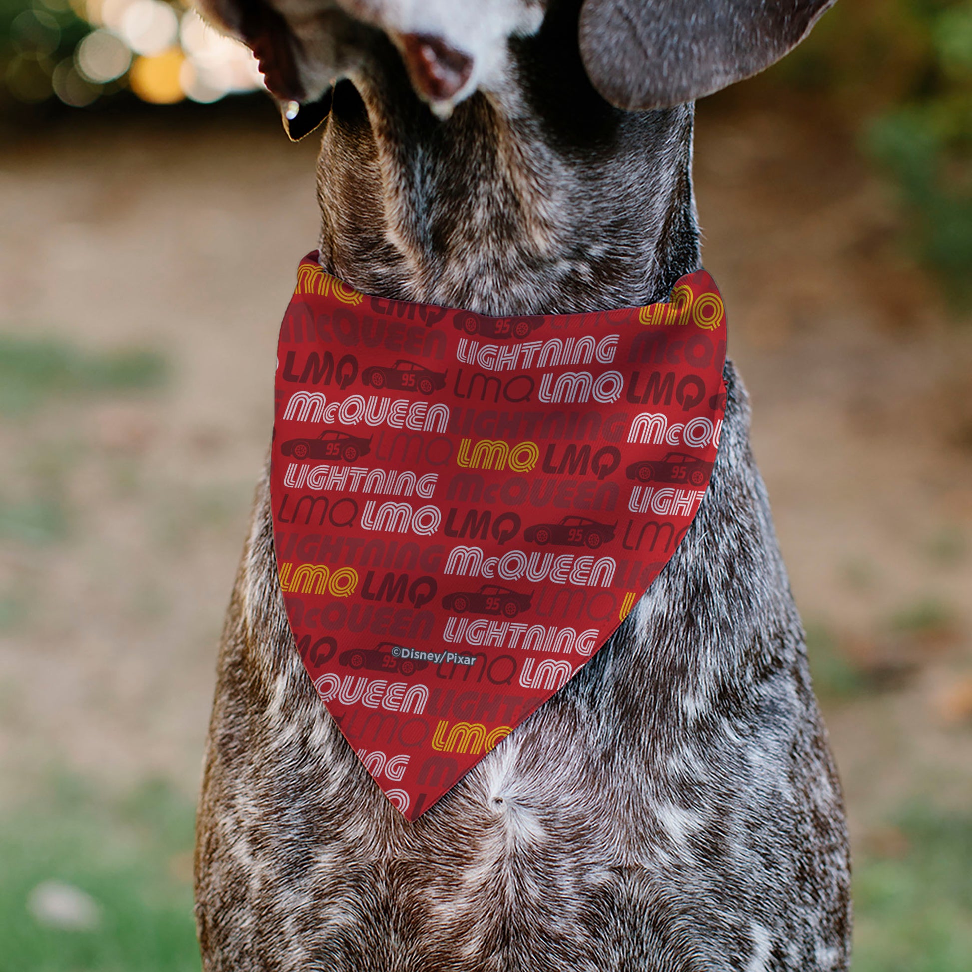 Pet Bandana - Cars LMQ LIGHTNING MCQUEEN Pose and Text Red Pet Bandanas Disney