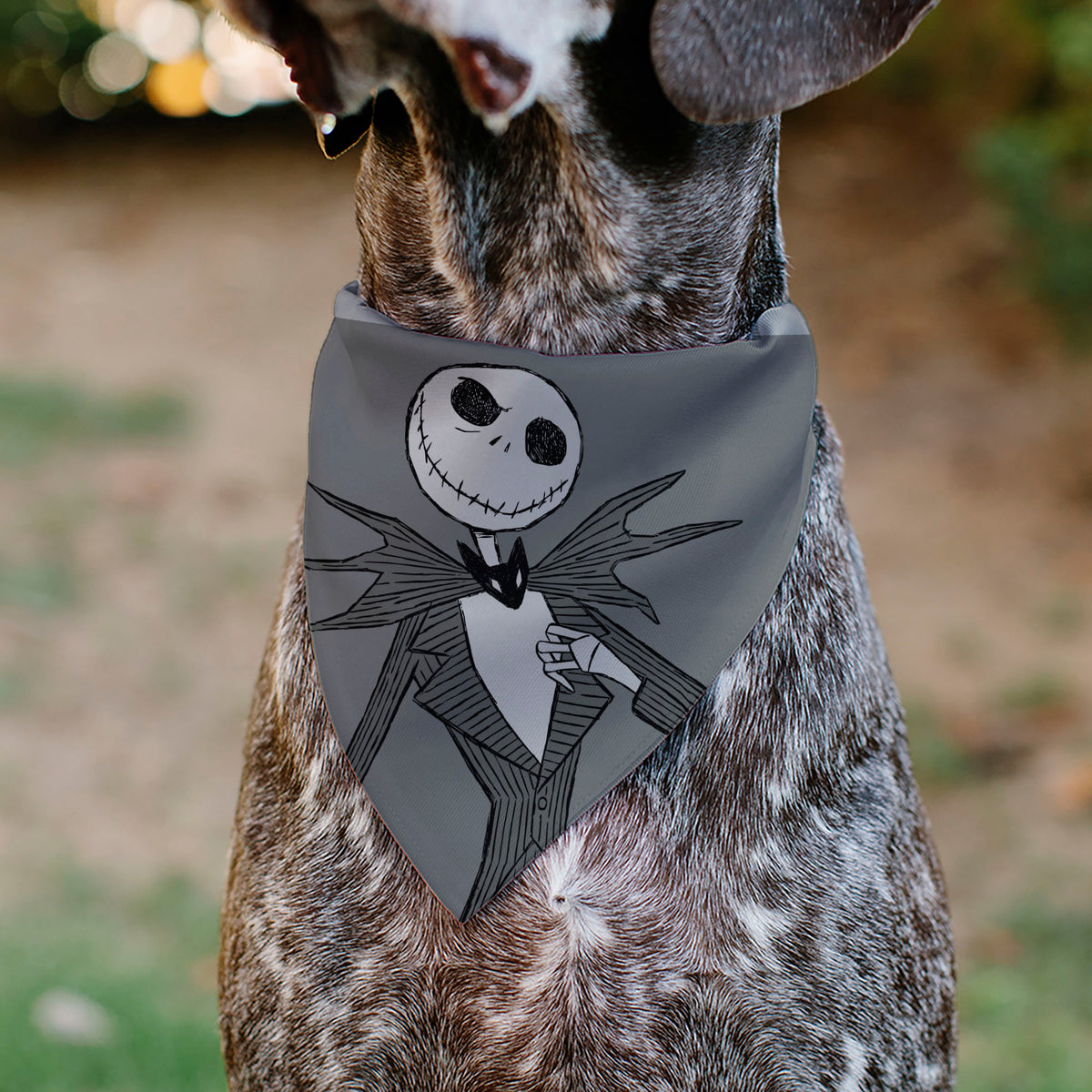 Pet Bandana - The Nightmare Before Christmas JACK Smiling Pose and Text Gray