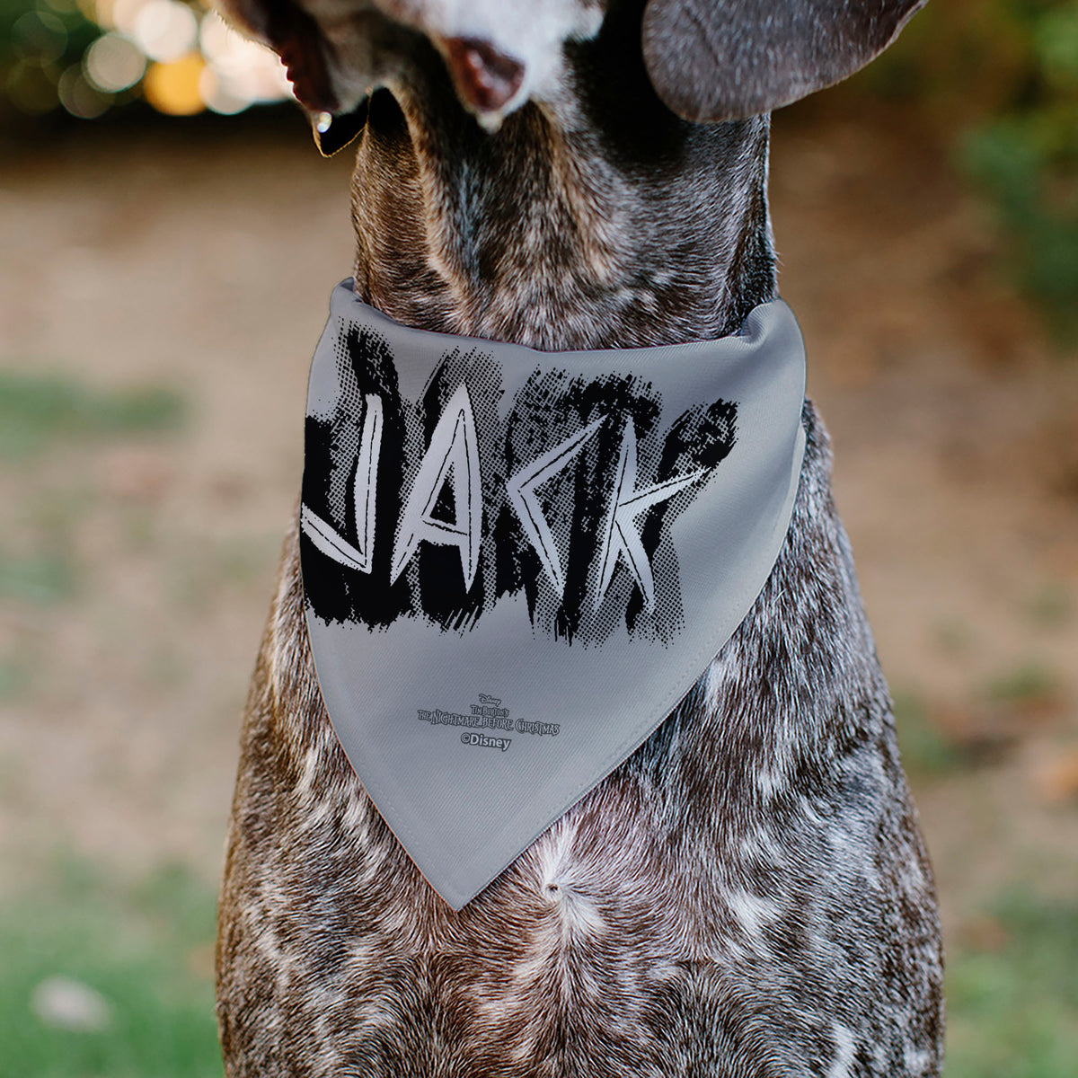 Pet Bandana - The Nightmare Before Christmas JACK Smiling Pose and Text Gray