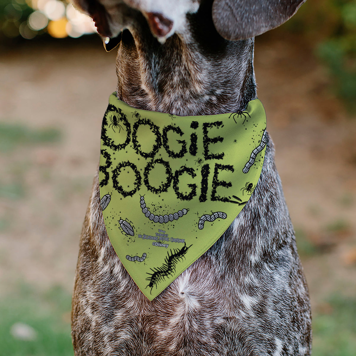 Pet Bandana - The Nightmare Before Christmas OOGIE BOOGIE Pose with Text and Bugs Collage Gray/Lime Green