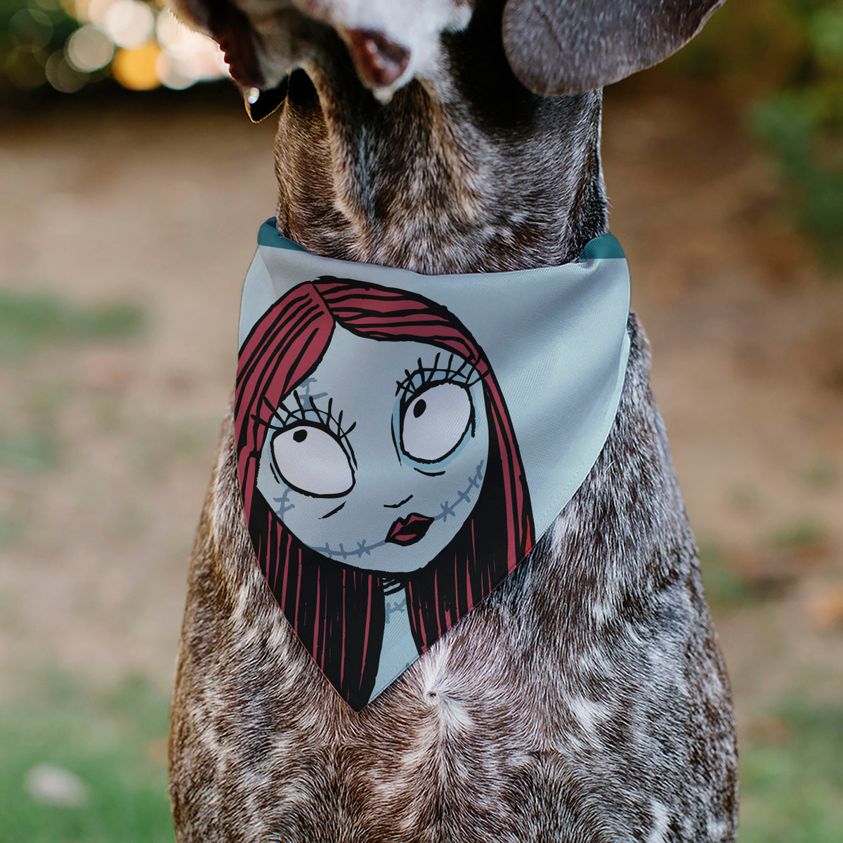 Pet Bandana - The Nightmare Before Christmas SALLY Face with Text and Potions Collage Light Blue