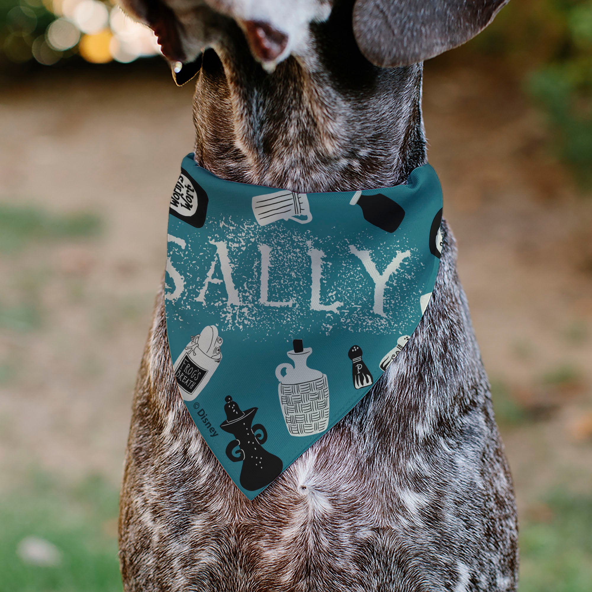 Pet Bandana - The Nightmare Before Christmas SALLY Face with Text and Potions Collage Light Blue