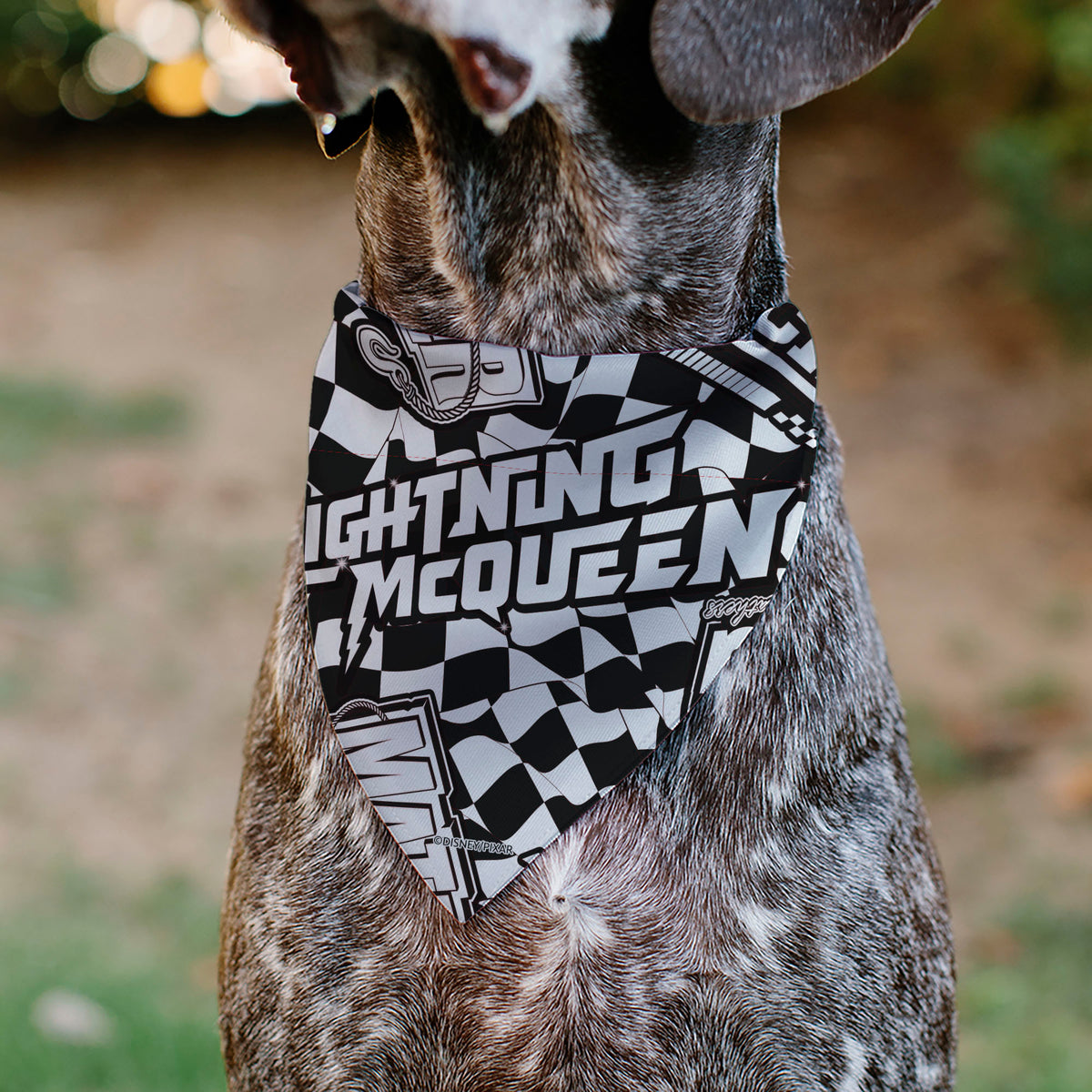 Pet Bandana - Cars LIGTNING MCQUEEN Checker Flag Collage White/Black Pet Bandanas Disney