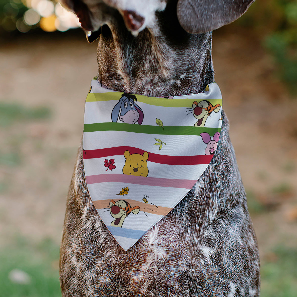 Pet Bandana - Winnie the Pooh and Friends Poses Stripe White/Multi Color Pet Bandanas Disney