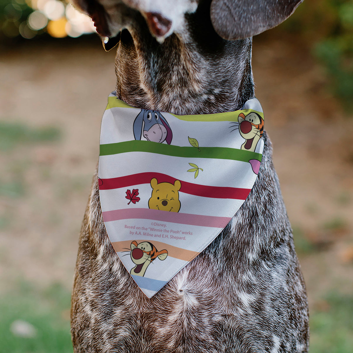 Pet Bandana - Winnie the Pooh and Friends Poses Stripe White/Multi Color Pet Bandanas Disney