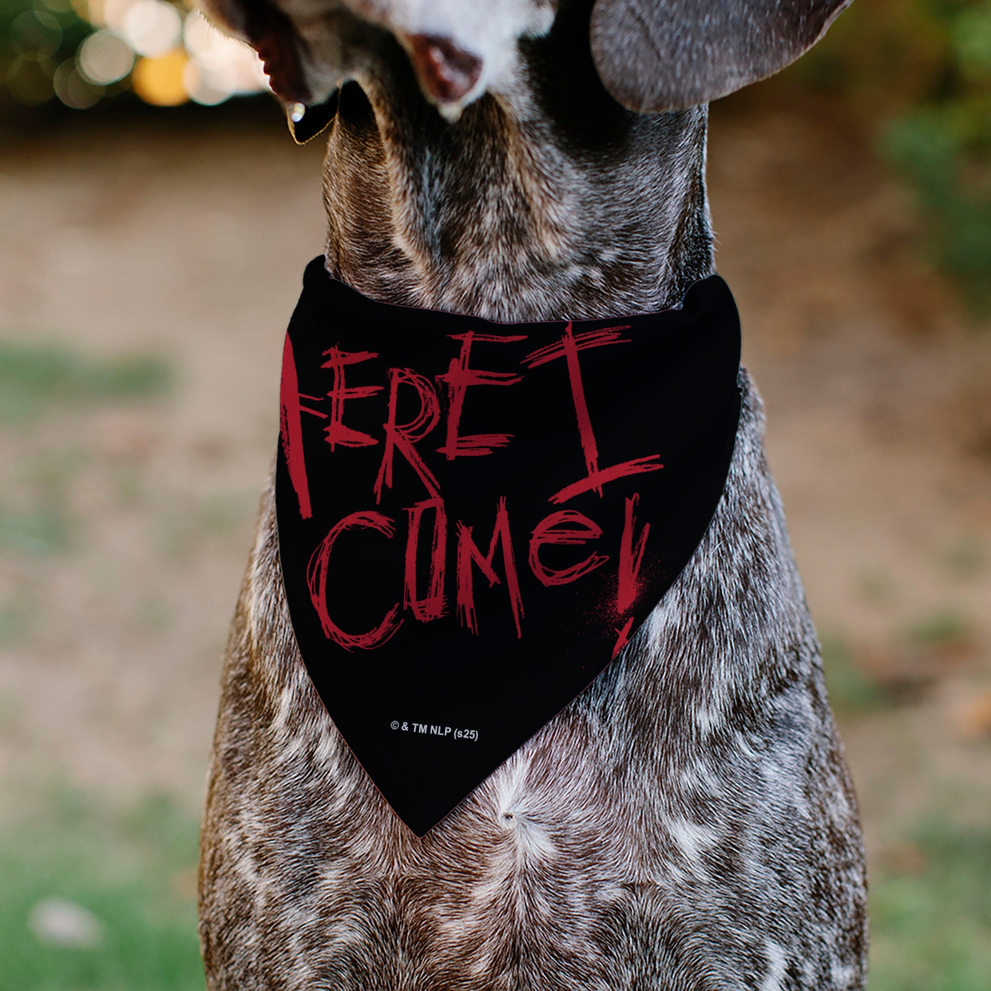 Pet Bandana - A Nightmare on Elm Street Freddy READY OR NOT HERE I COME Pose Black/Red Pet Bandanas A Nightmare on Elm Street