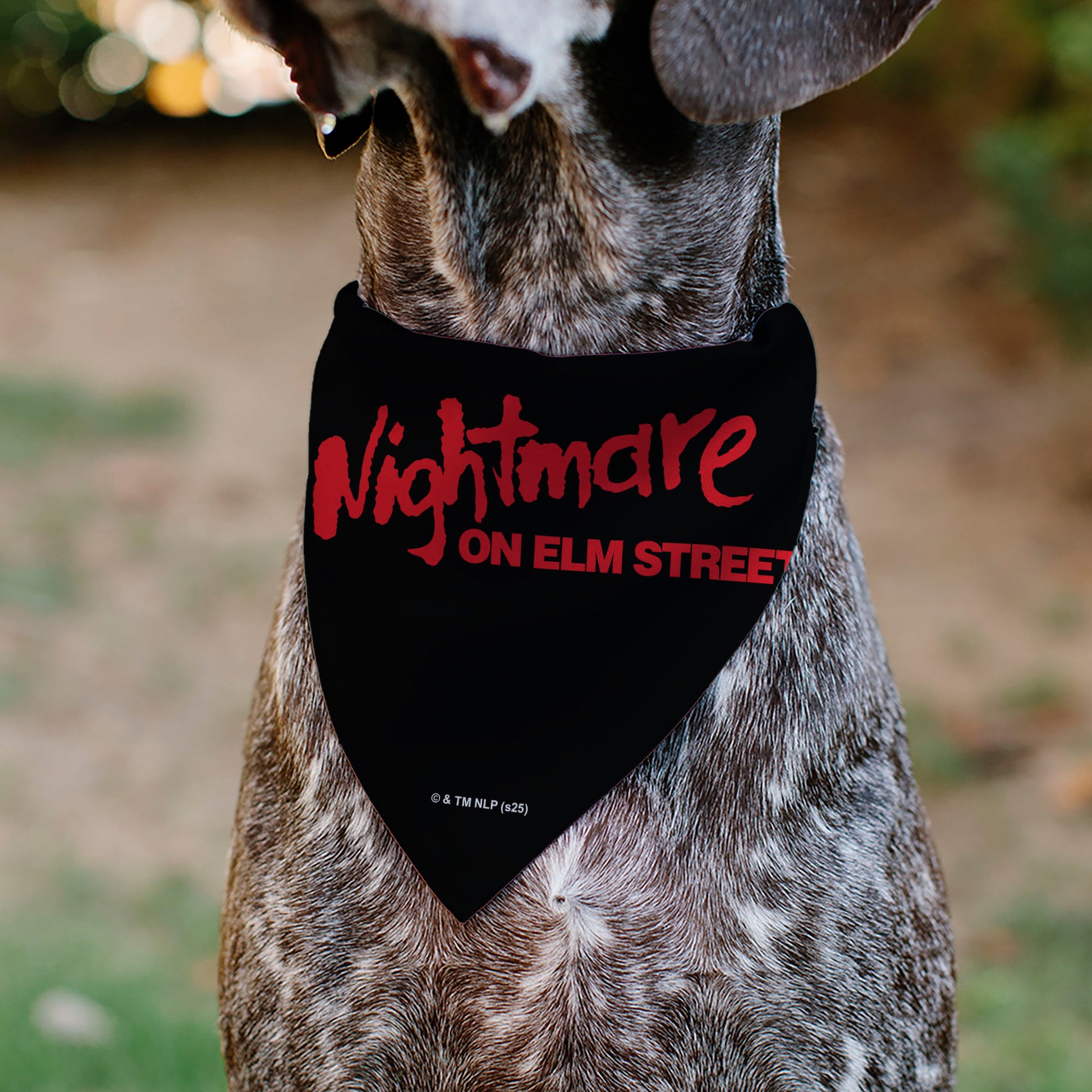 Pet Bandana - A Nightmare on Elm Street Freddy DREAM DEMON Pose Black/Red Pet Bandanas A Nightmare on Elm Street