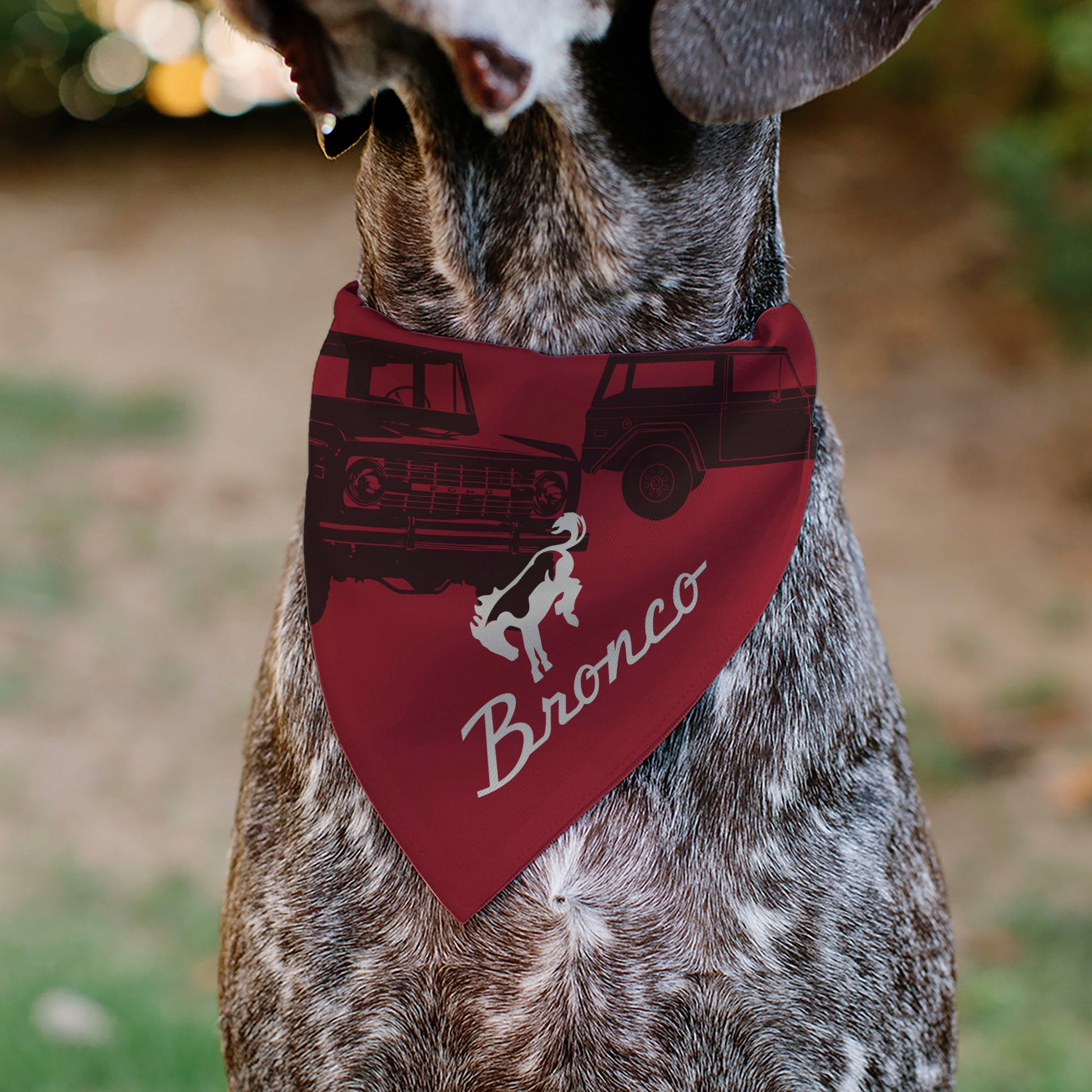 Pet Bandana - Ford Vintage Bronco Logo and Silhouette Red/Black/White Pet Bandanas Ford