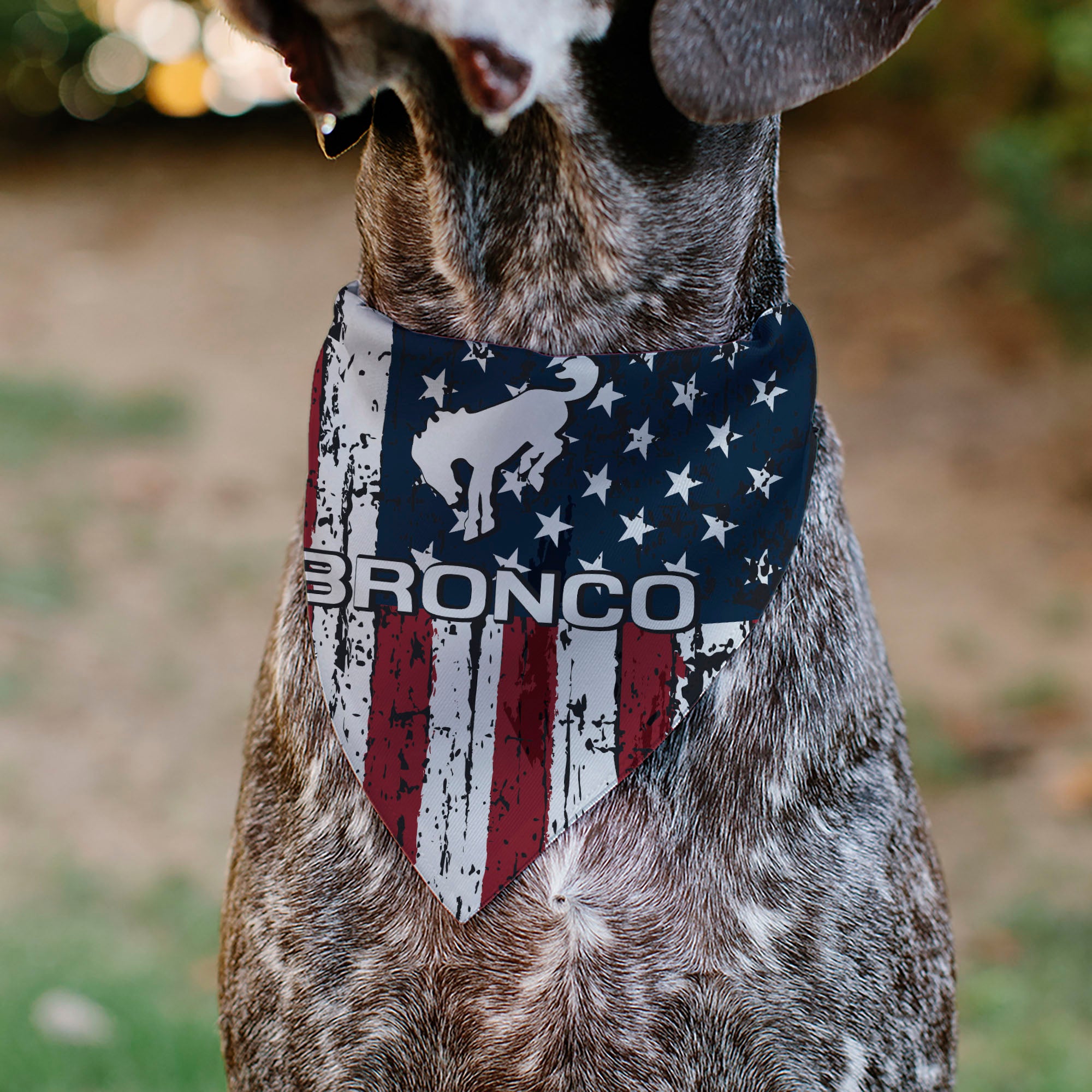 Pet Bandana - Ford BRONCO Americana Stars and Stripes Weathered Red/White/Blue Pet Bandanas Ford