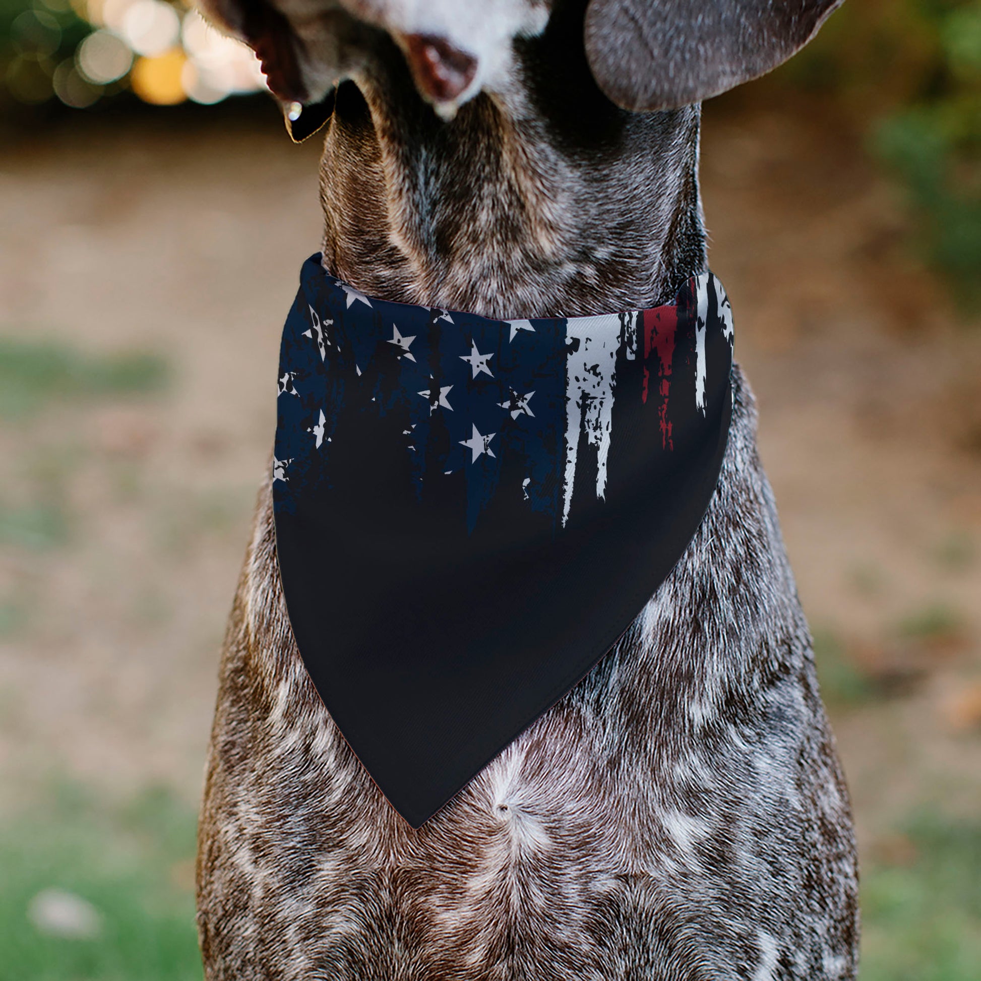 Pet Bandana - Ford BRONCO Americana Stars and Stripes Weathered Red/White/Blue Pet Bandanas Ford