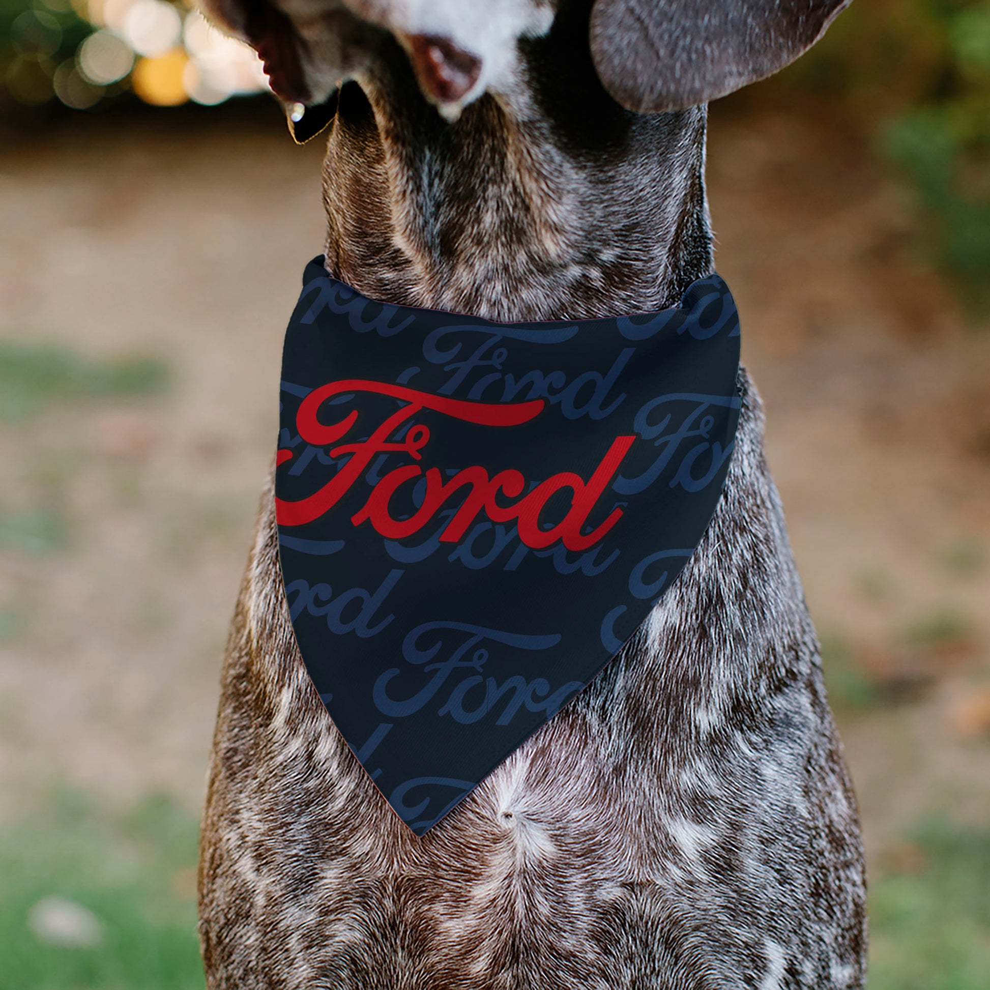 Pet Bandana - FORD Script Stacked Blues/Red Pet Bandanas Ford