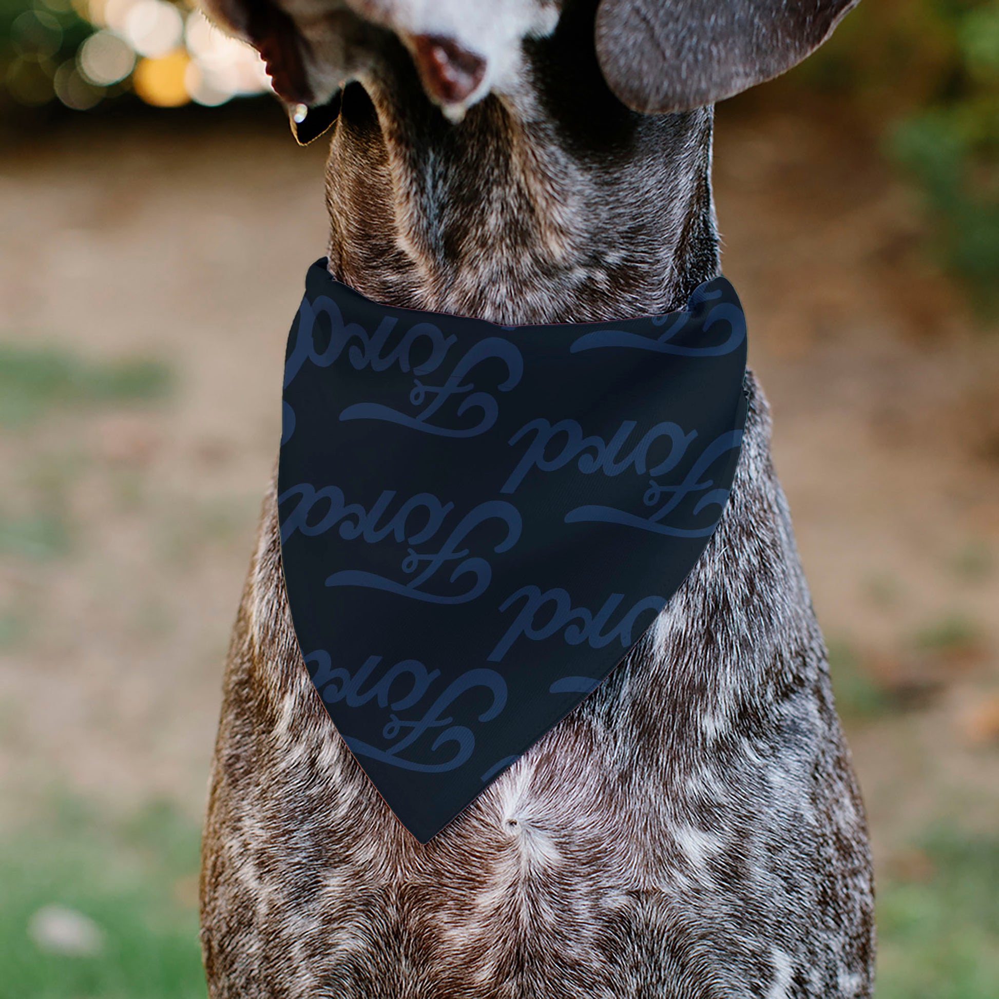 Pet Bandana - FORD Script Stacked Blues/Red Pet Bandanas Ford