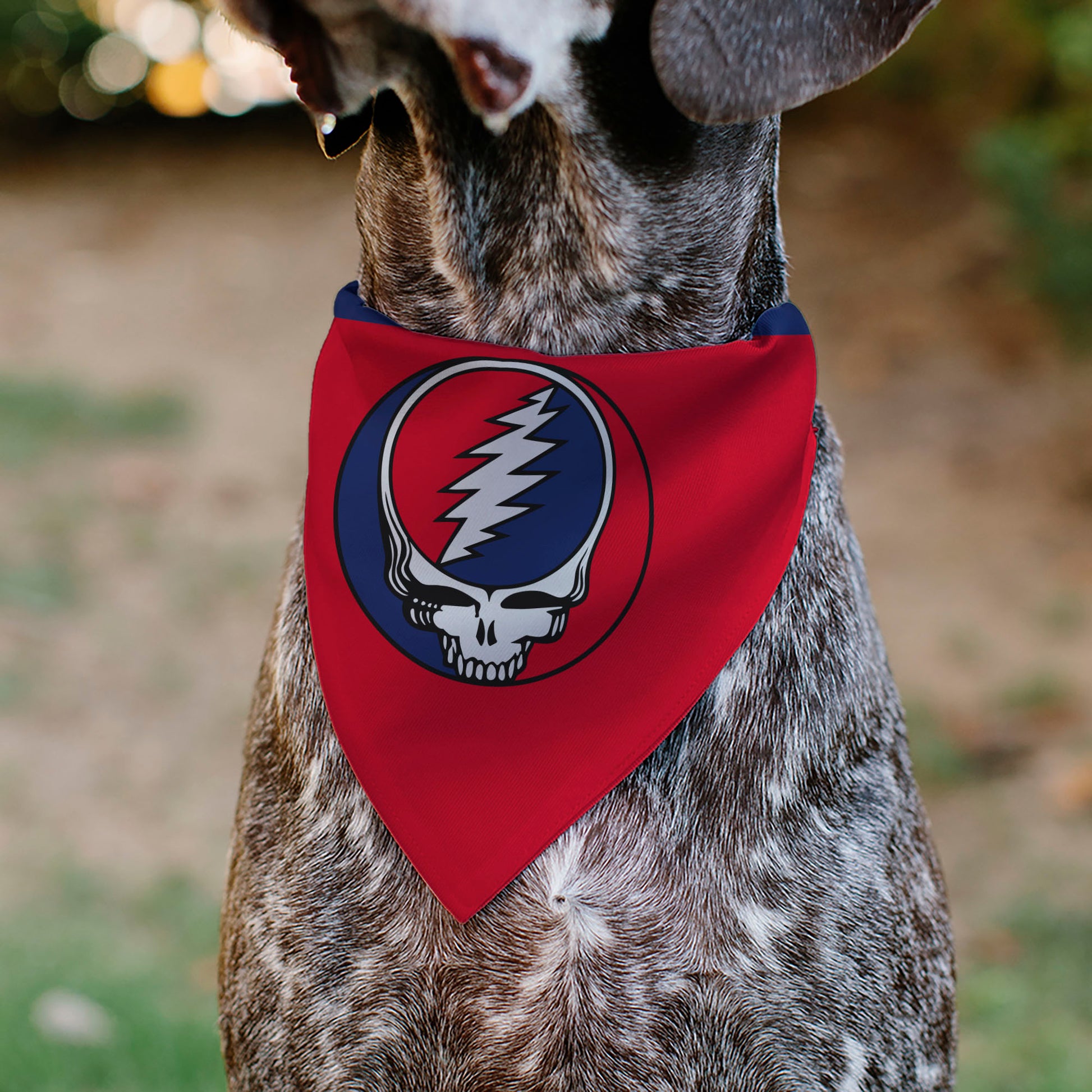 Pet Bandana - Grateful Dead Steal Your Face Logo Centered Red and Blue Pet Bandanas Grateful Dead
