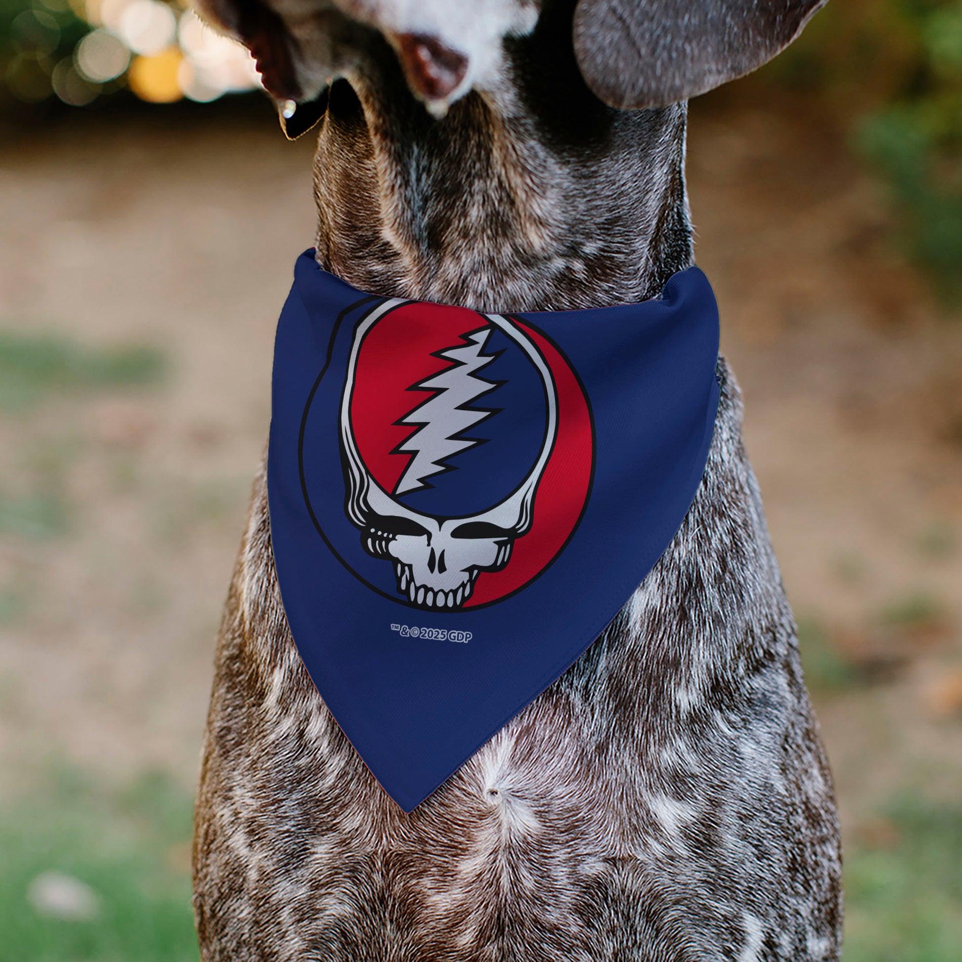 Pet Bandana - Grateful Dead Steal Your Face Logo Centered Red and Blue Pet Bandanas Grateful Dead